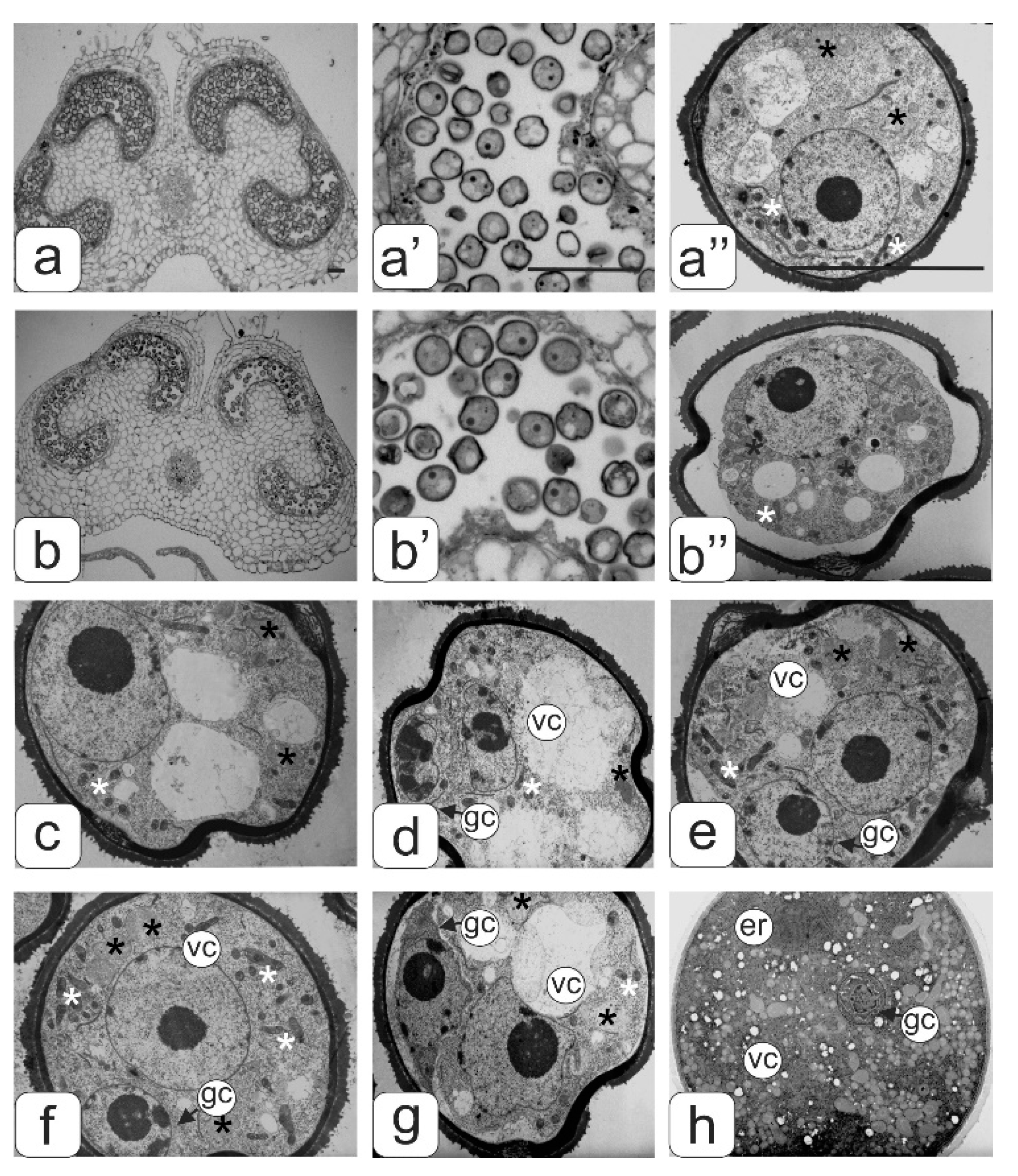 Biology 09 00032 g002