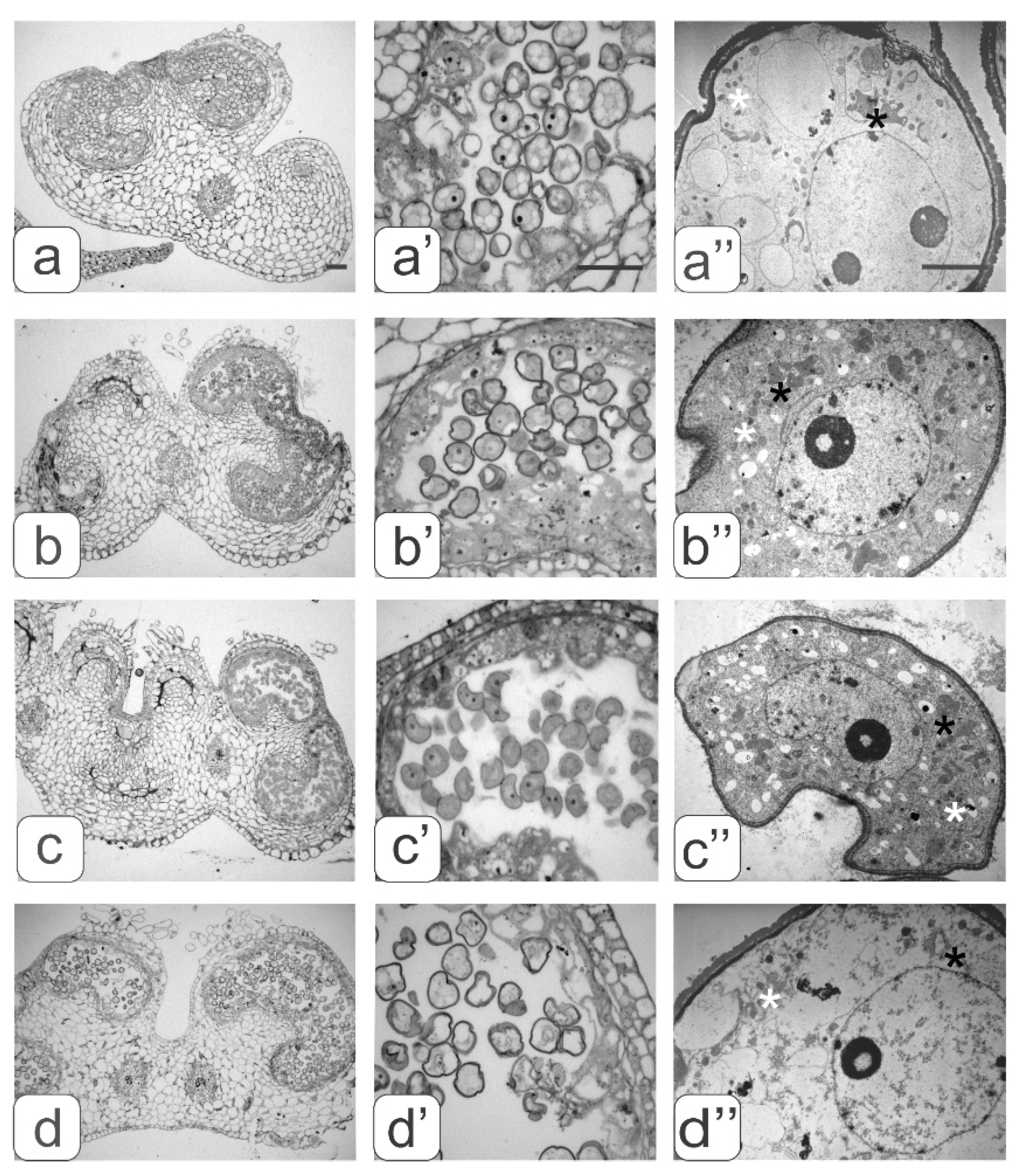 Biology 09 00032 g004