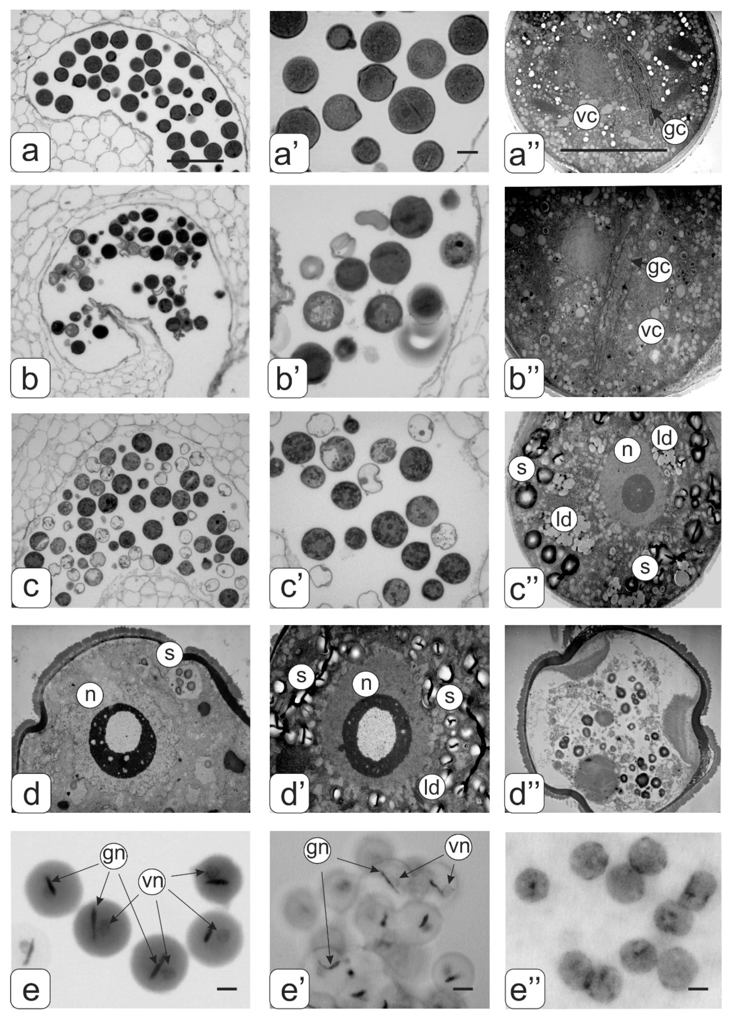 Biology 09 00032 g009