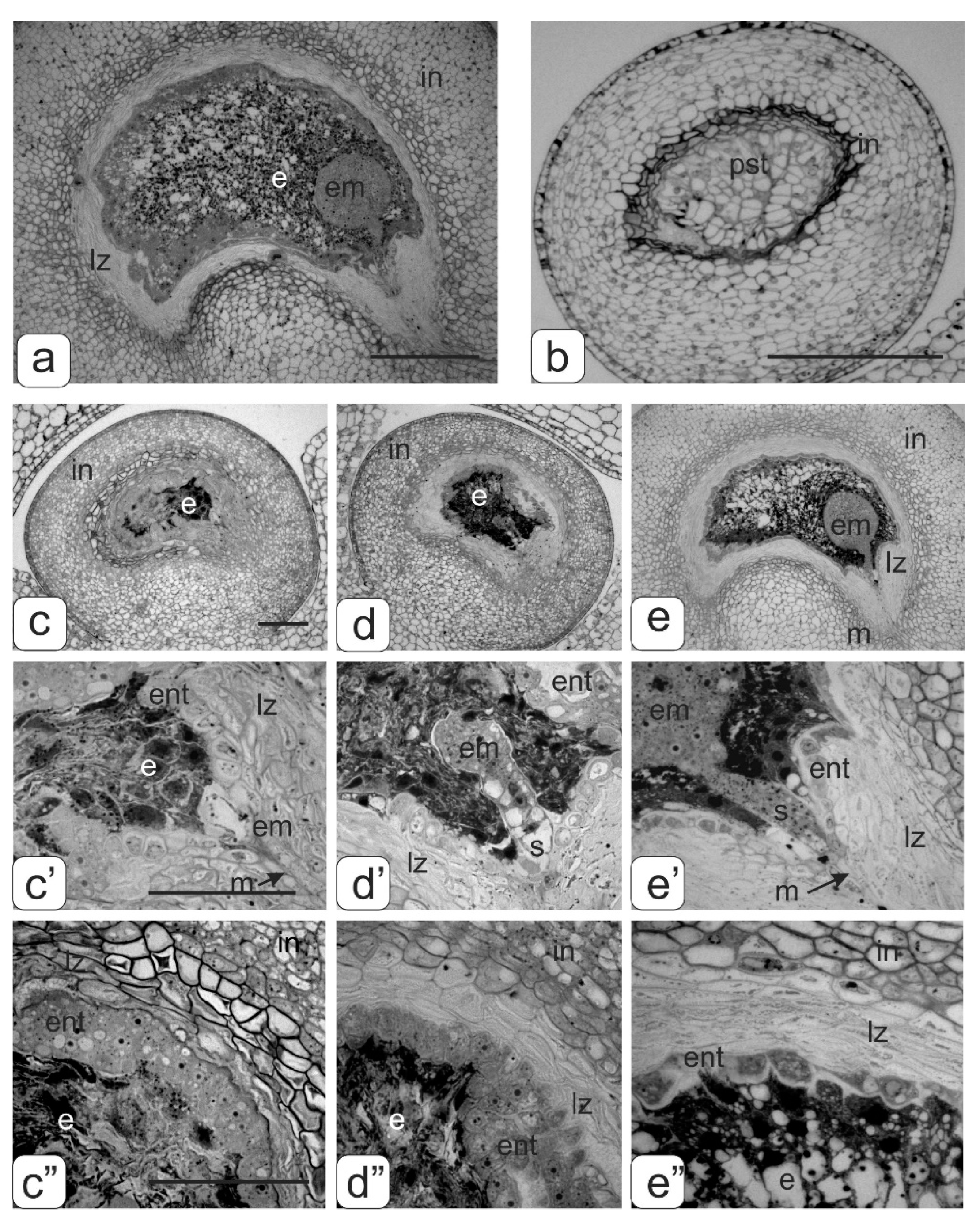Biology 09 00032 g010