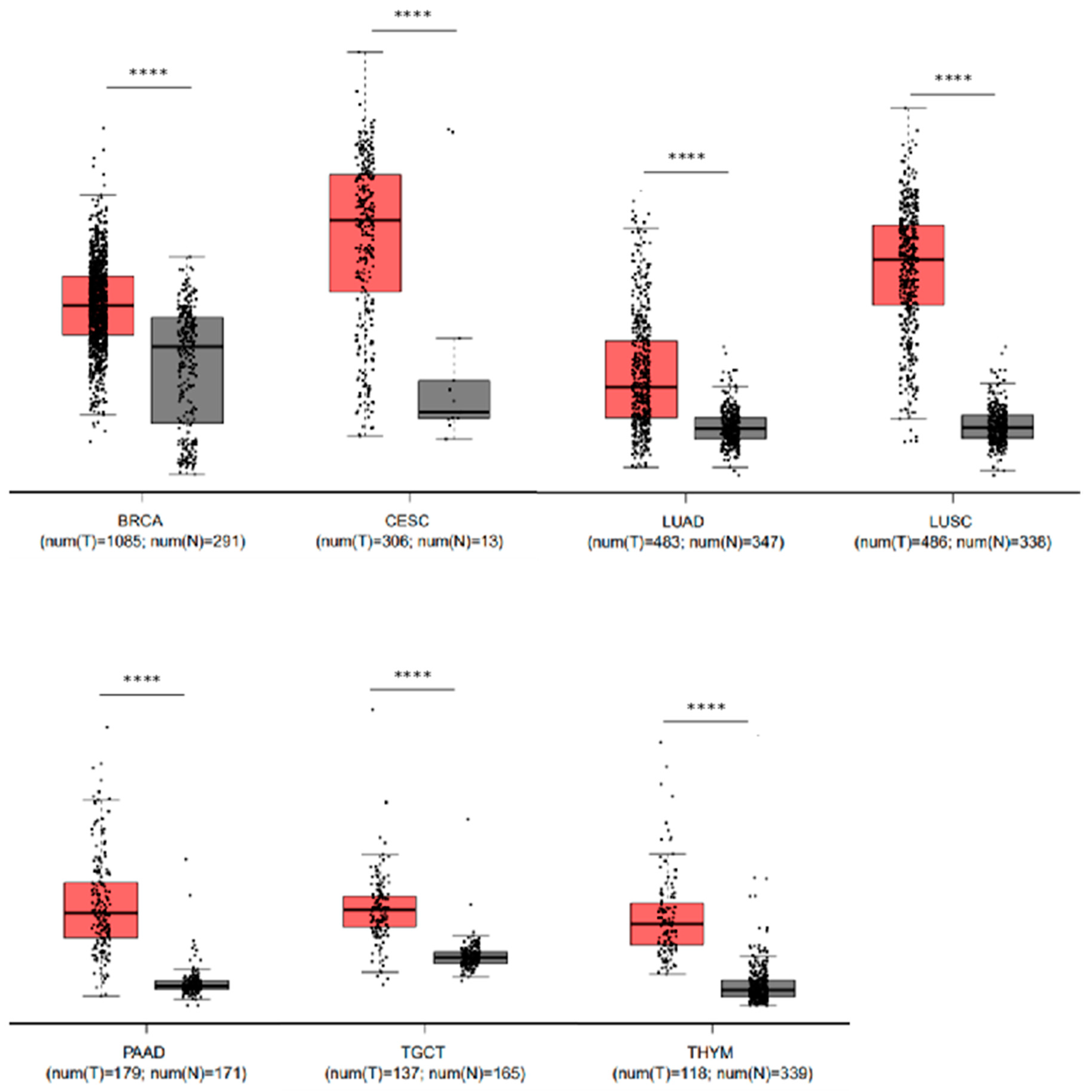 Biology 09 00039 g004 Biology 09 00039 g004