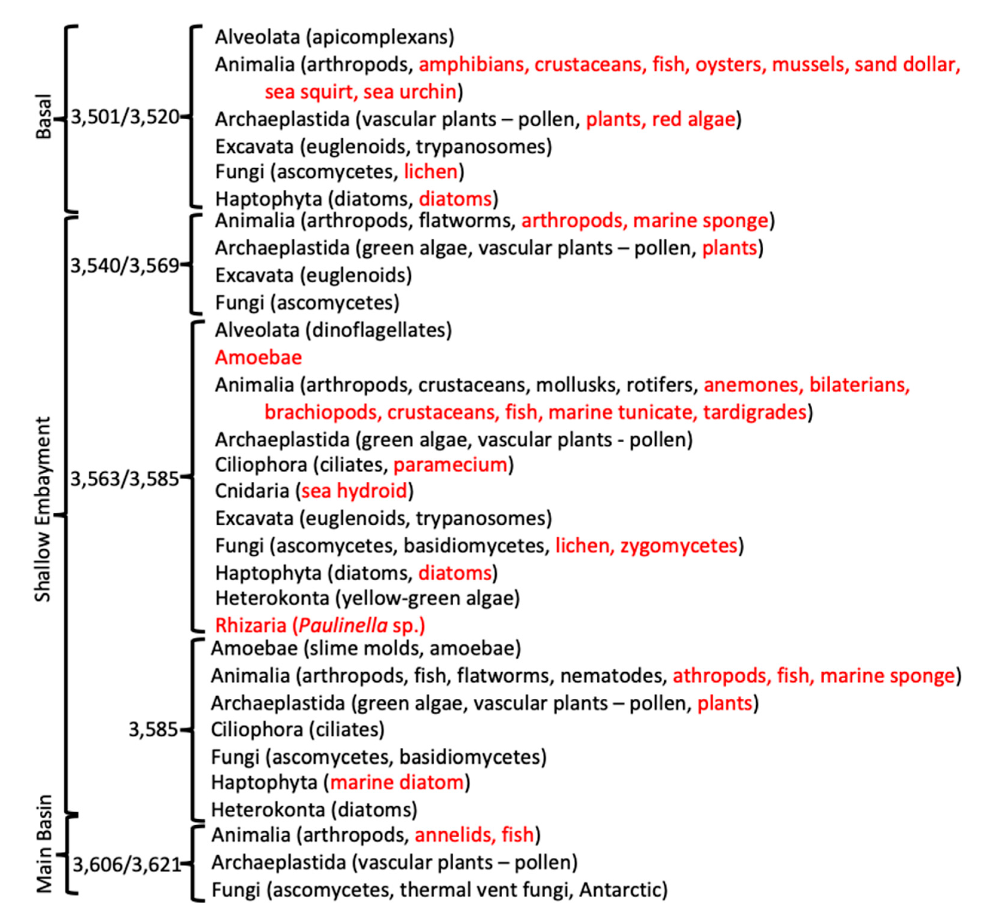 Biology 09 00055 g006
