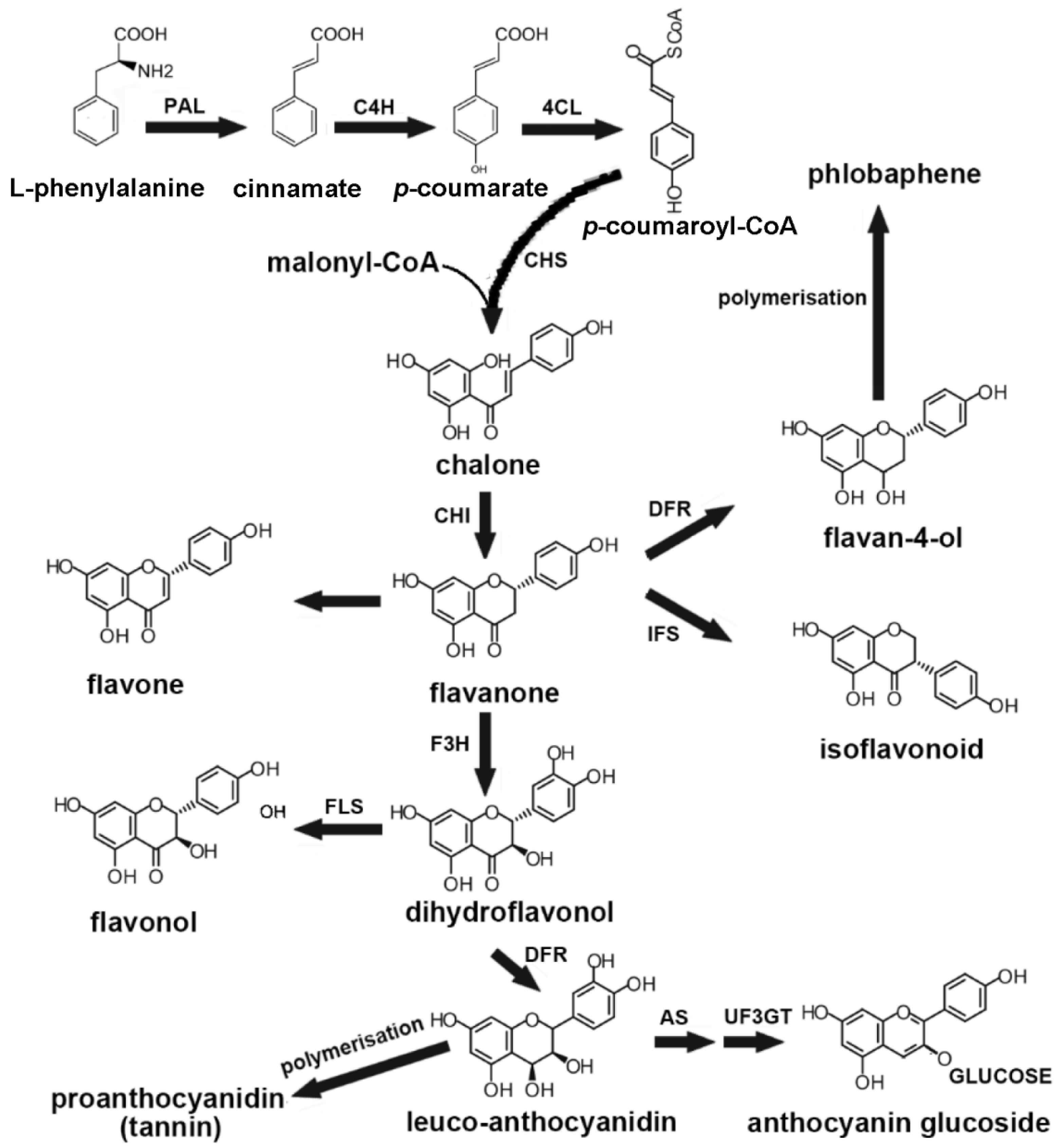 Biology 09 00061 g003 Biology 09 00061 g003