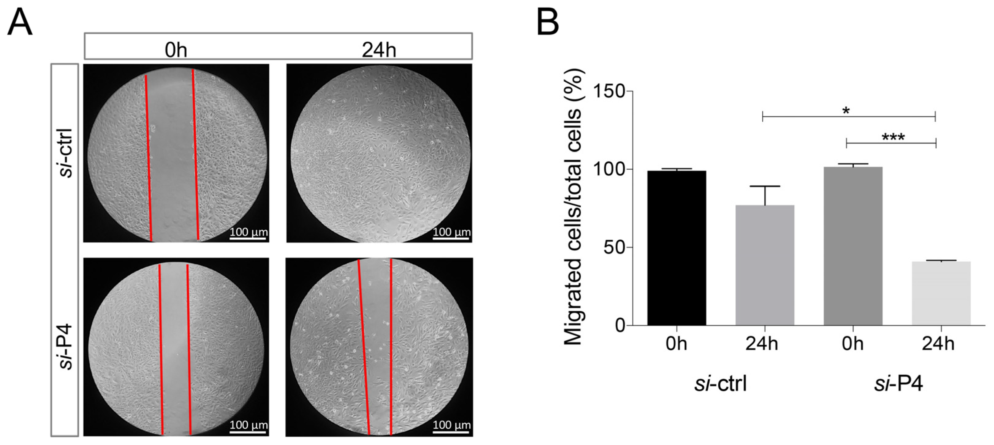 Biology 09 00066 g005