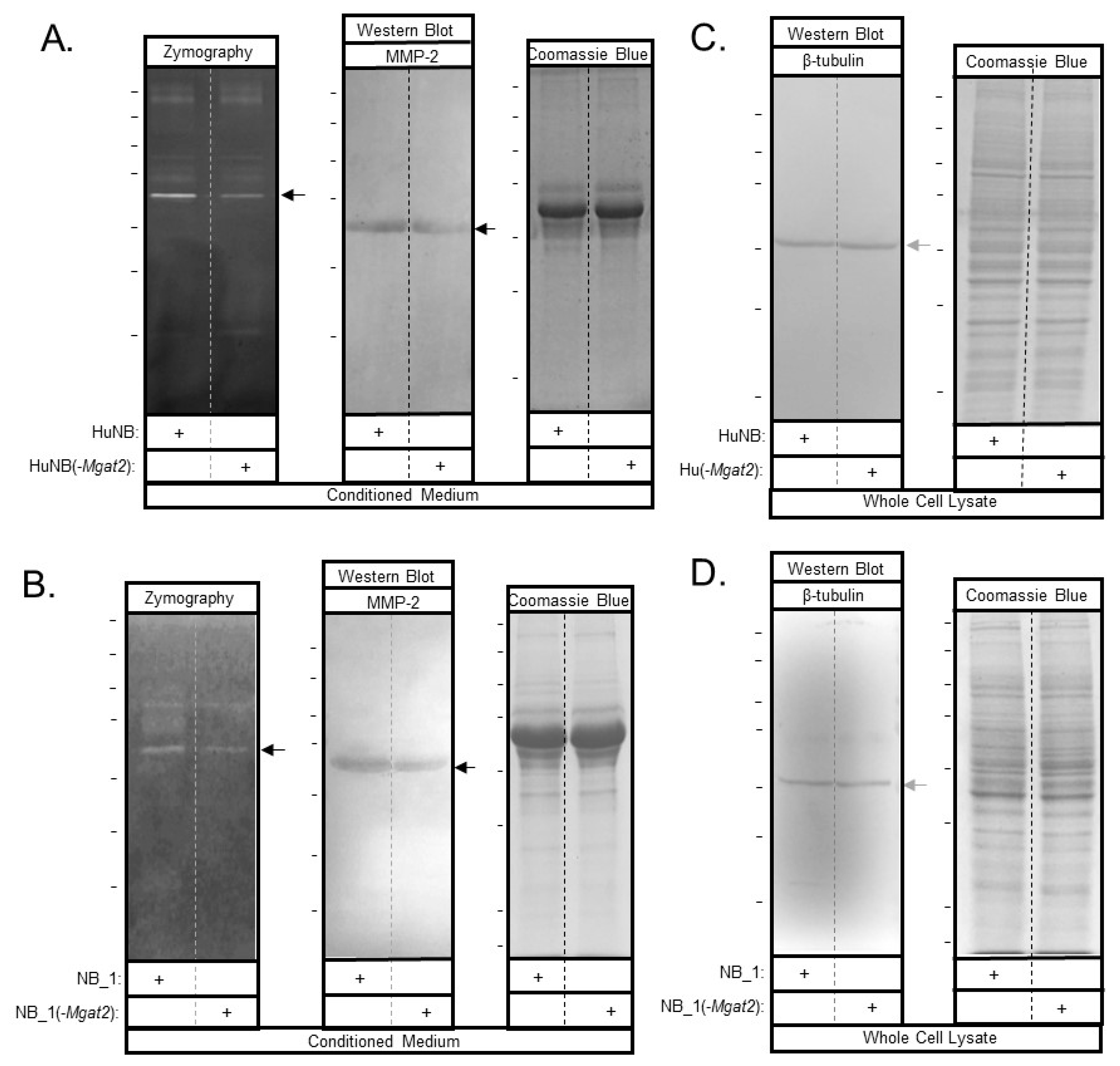 Biology 09 00071 g008 Biology 09 00071 g008