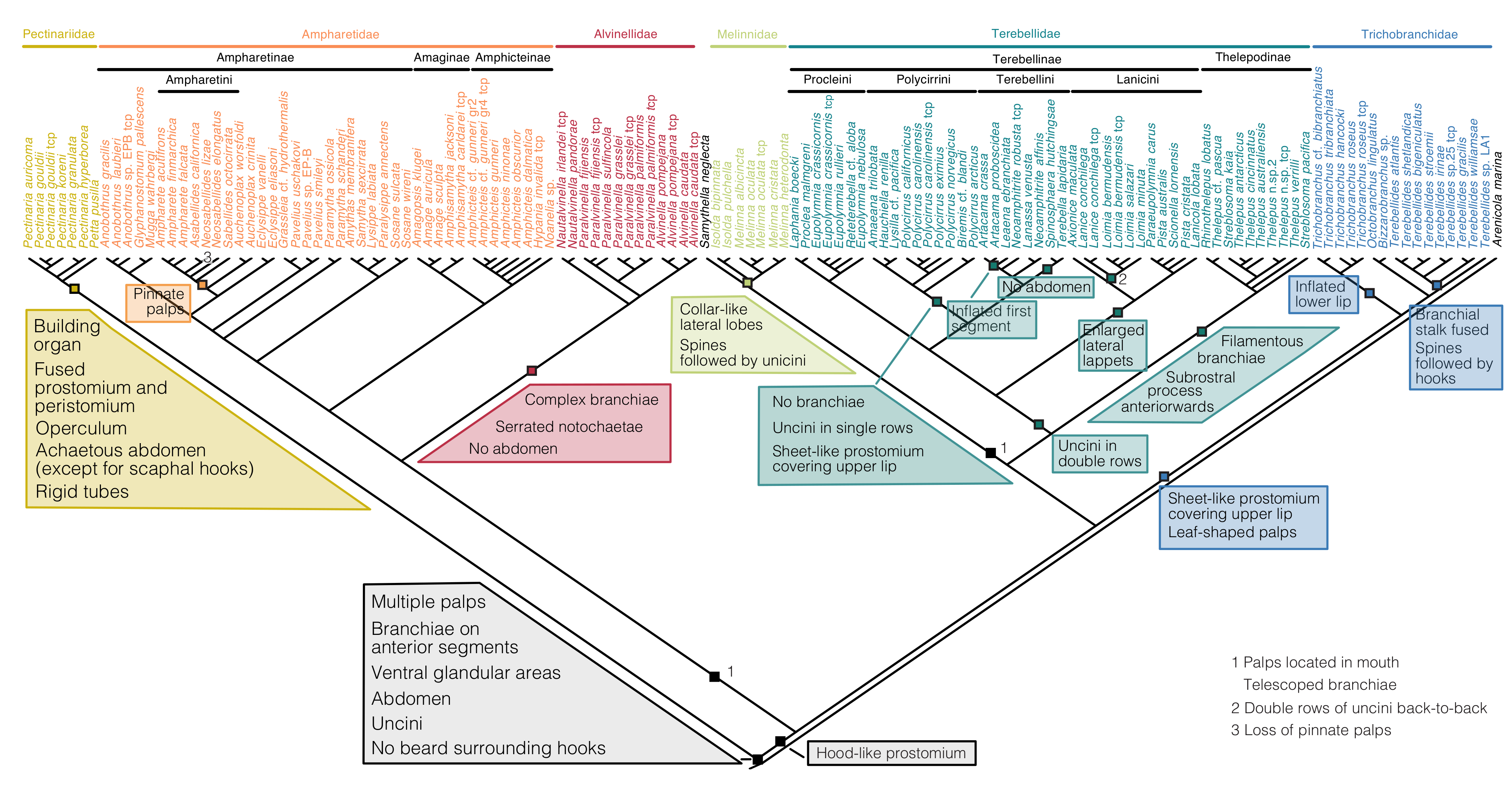 Biology 09 00073 g004 Biology 09 00073 g004