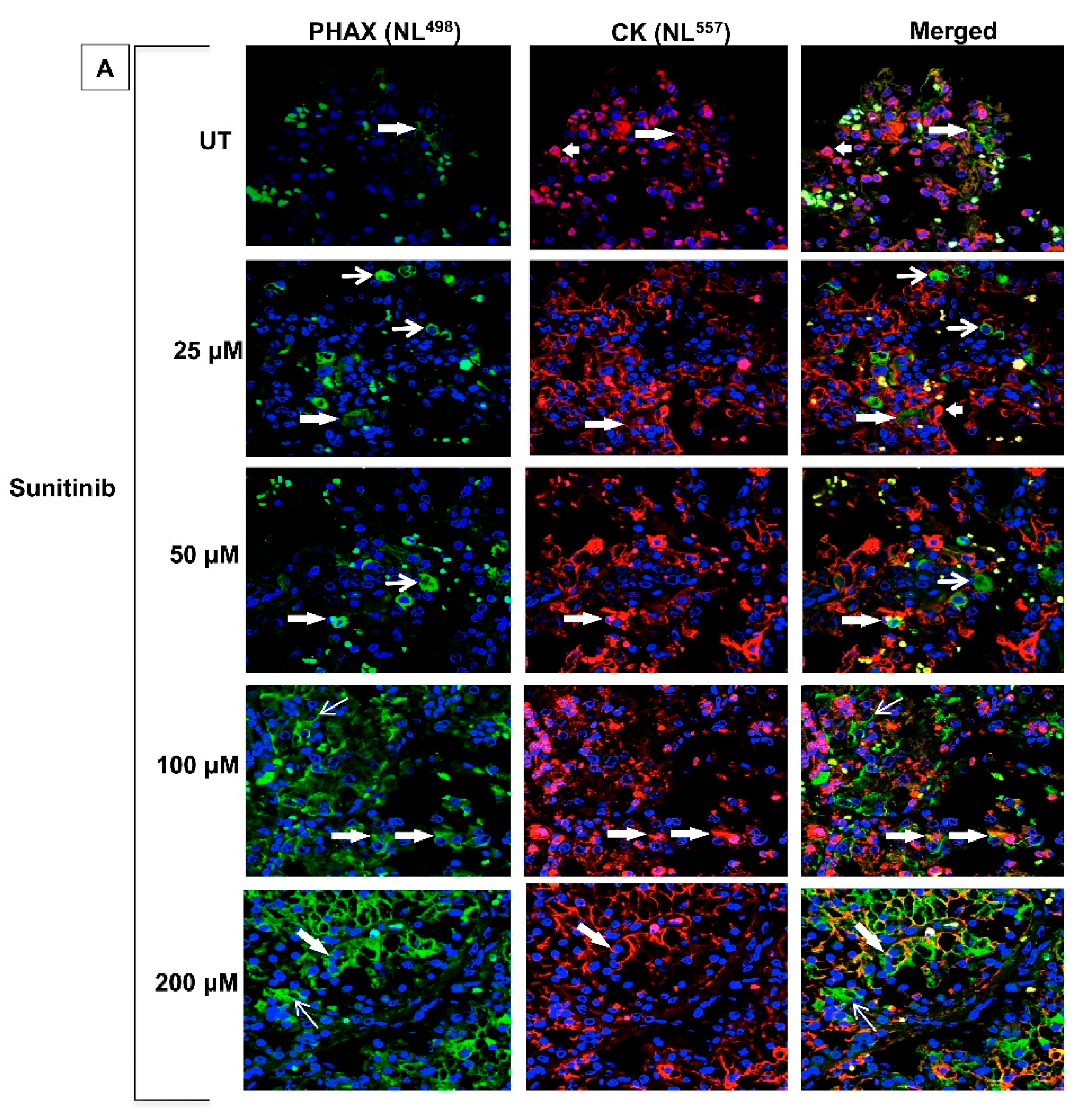 Biology 09 00074 g003a Biology 09 00074 g003a