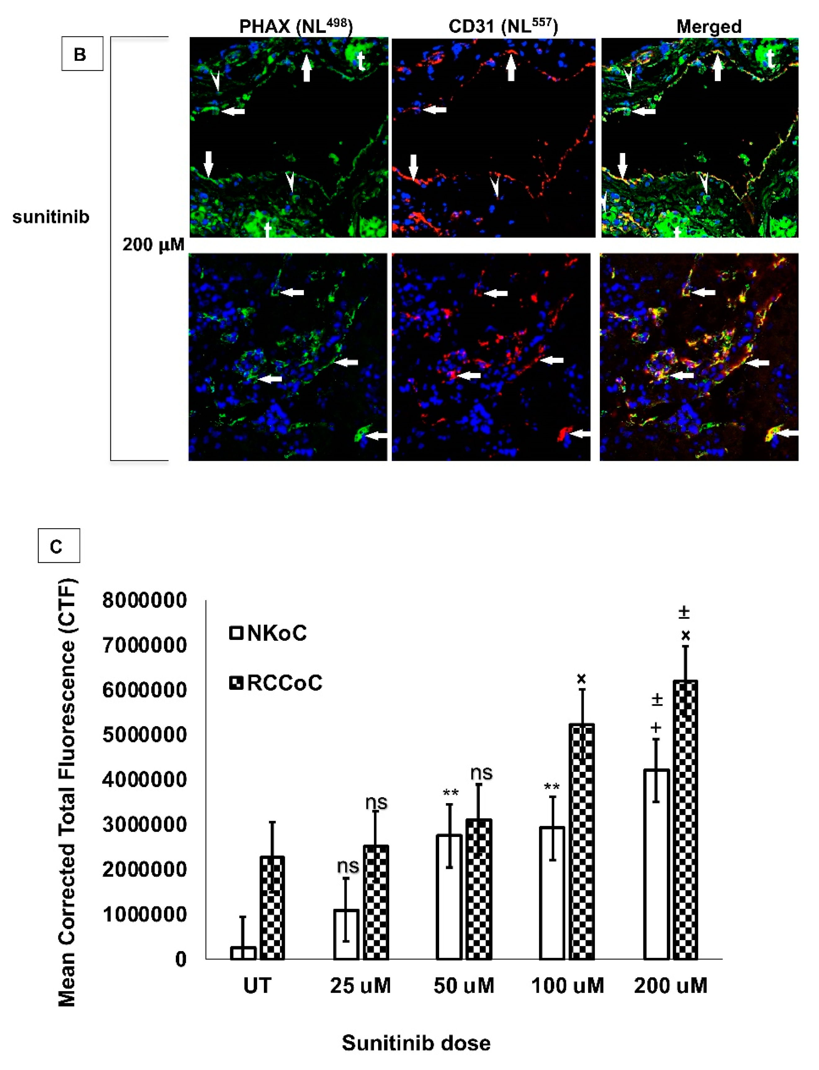 Biology 09 00074 g003b Biology 09 00074 g003b