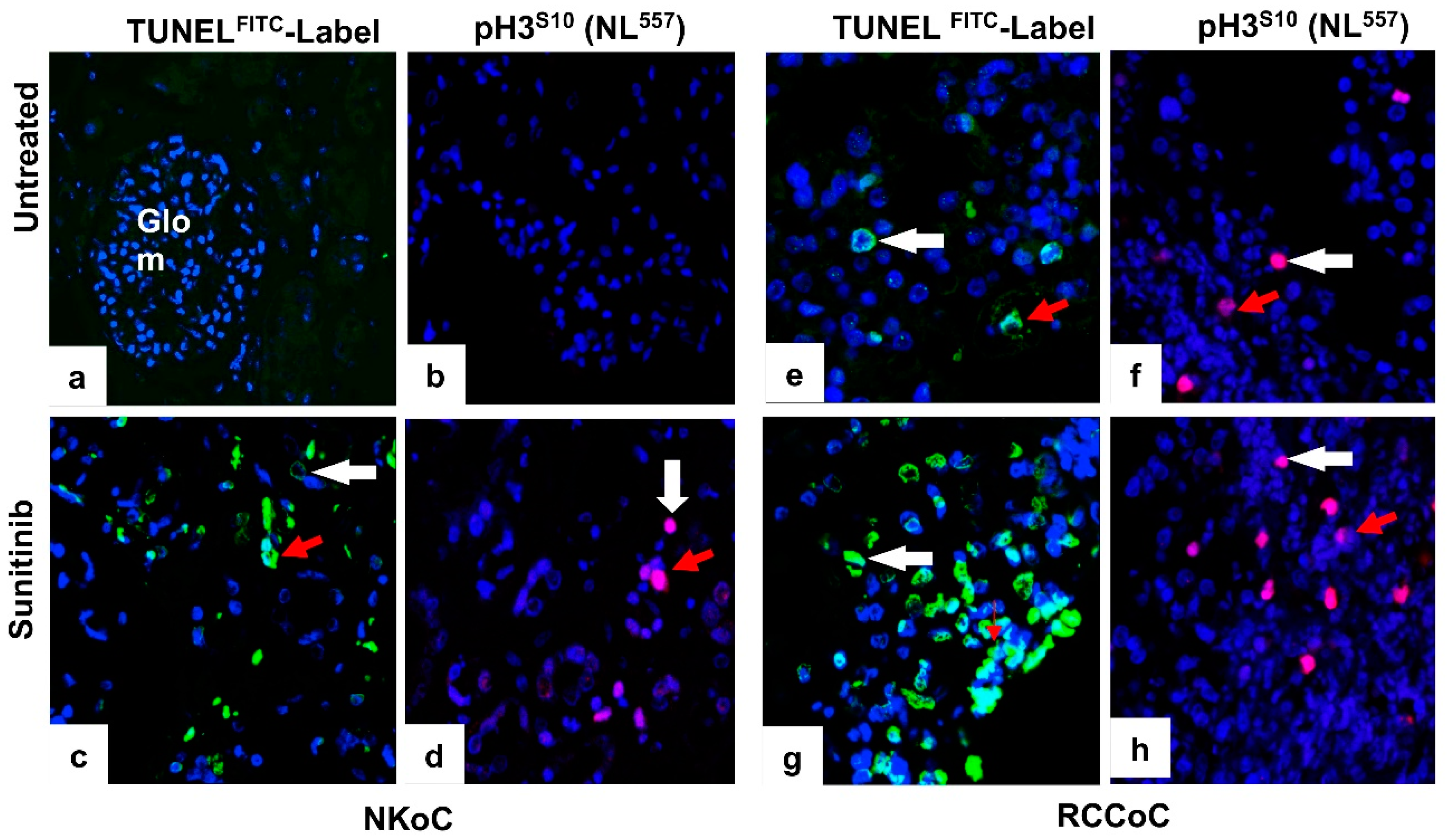 Biology 09 00074 g004 Biology 09 00074 g004