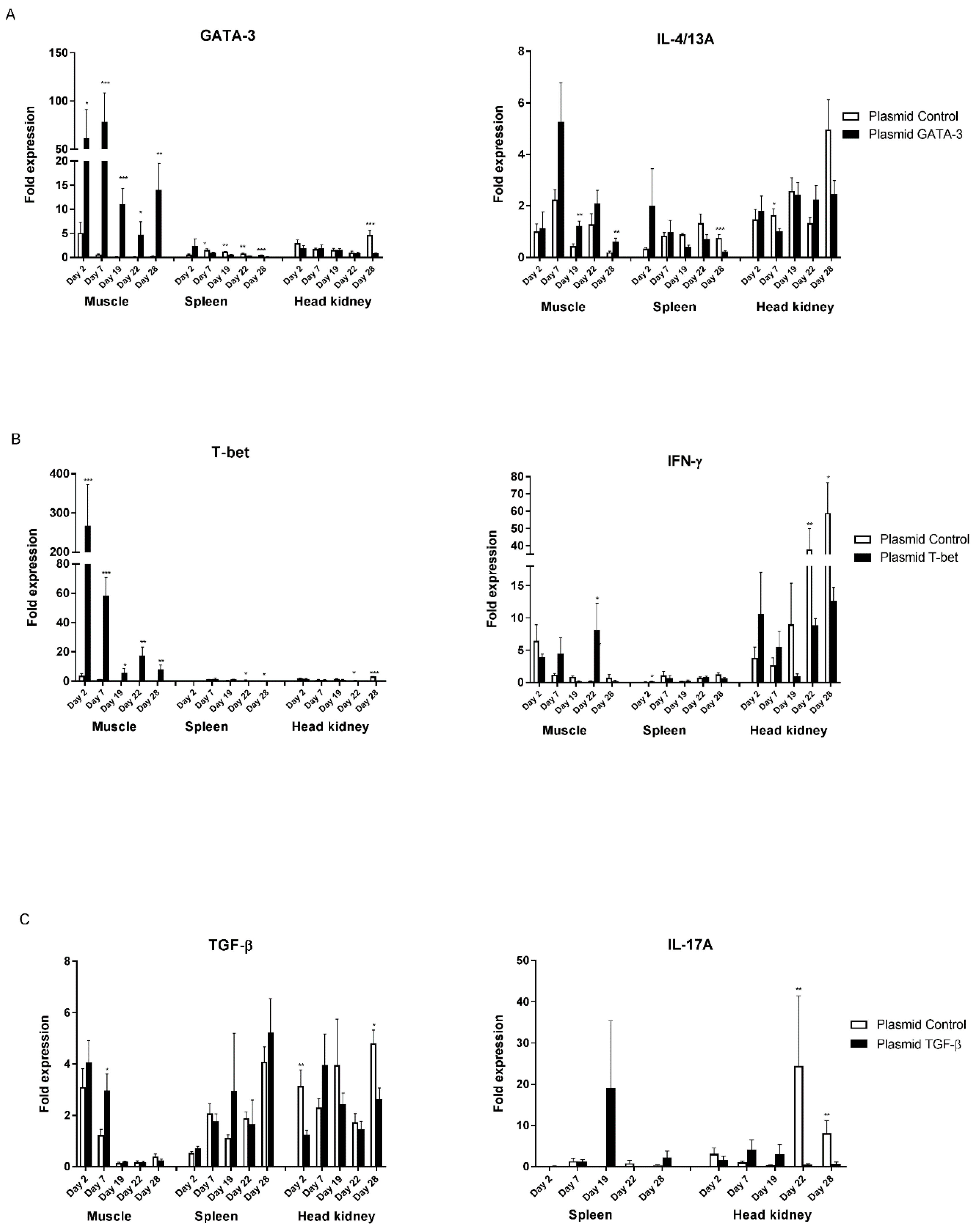 Biology 09 00082 g004