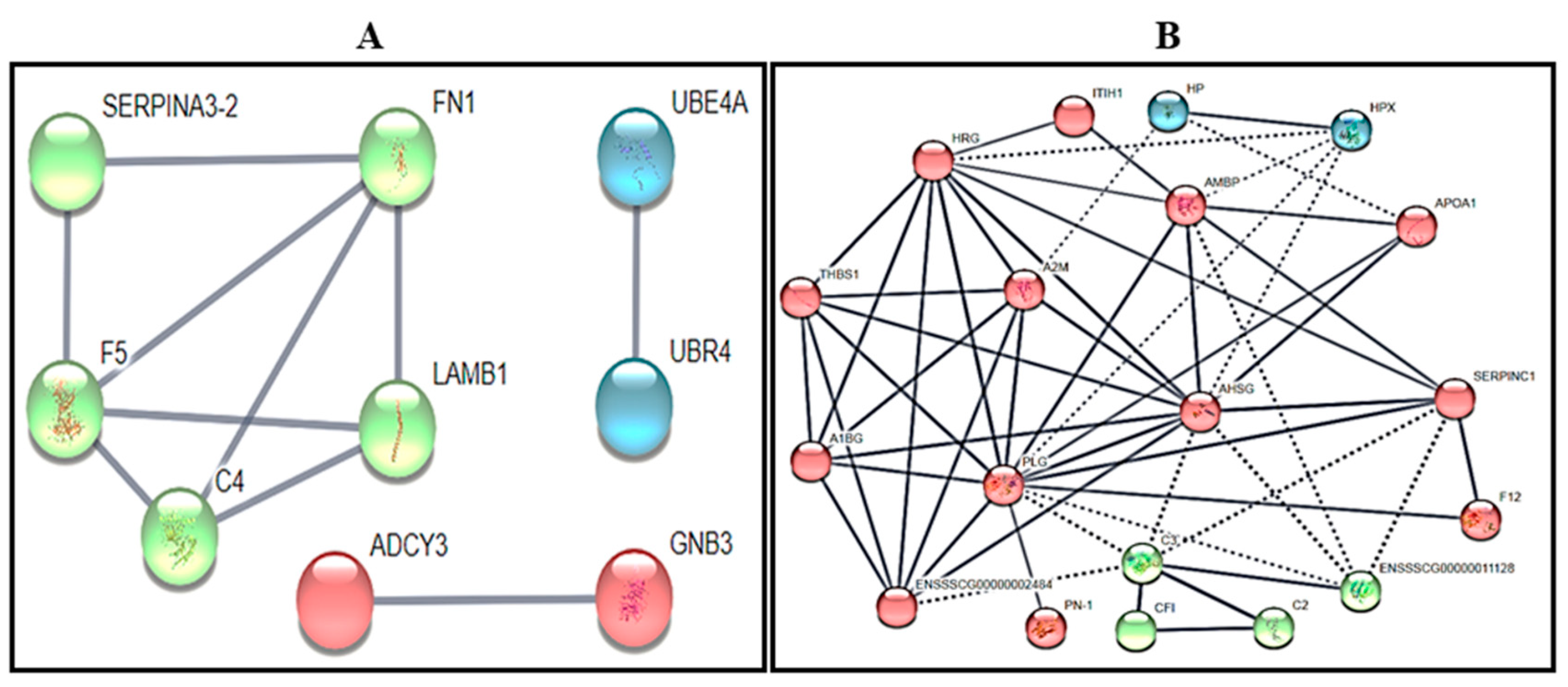 Biology 09 00101 g002