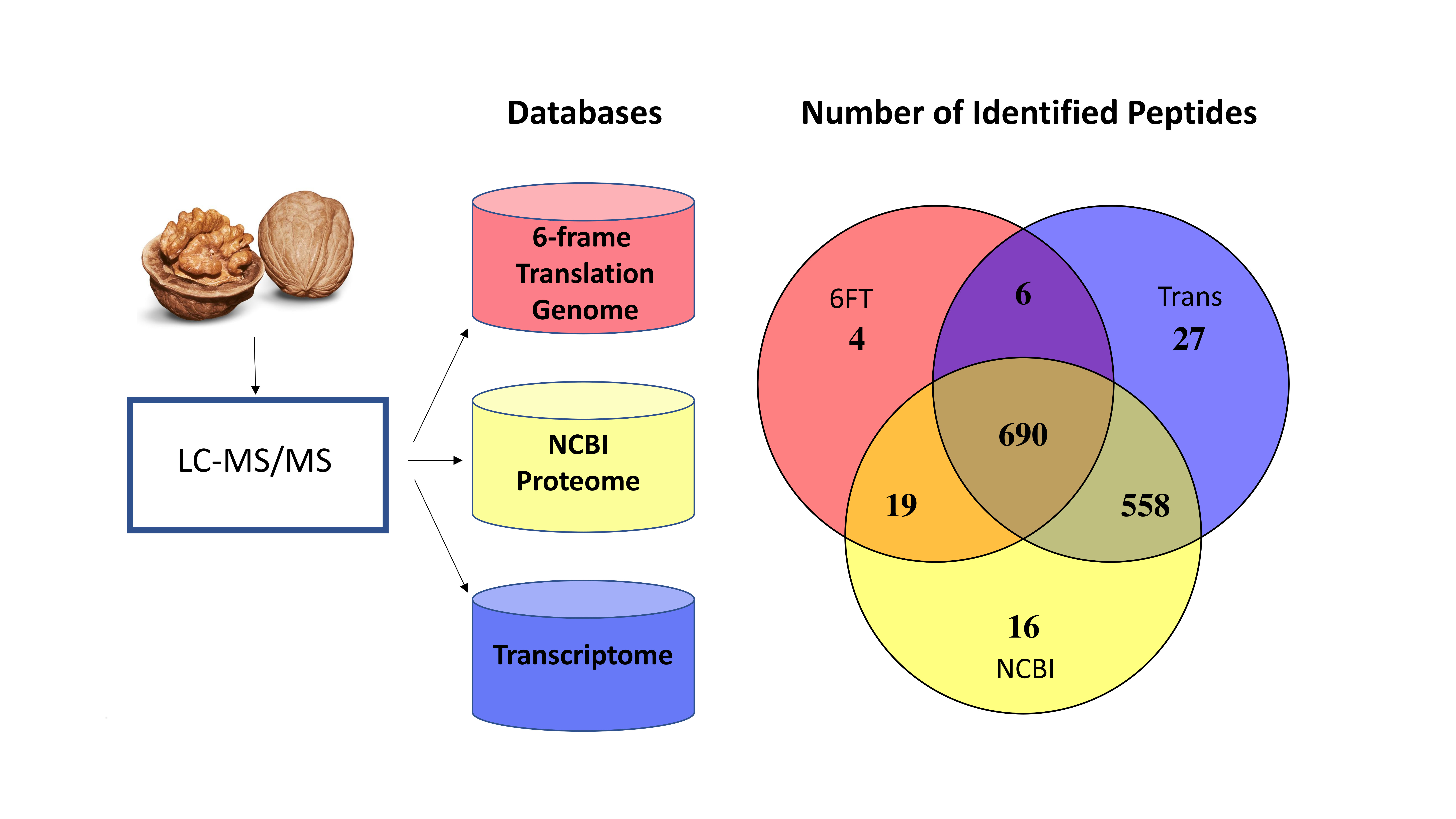 Biology Free FullText The Utility of Genomic and Transcriptomic