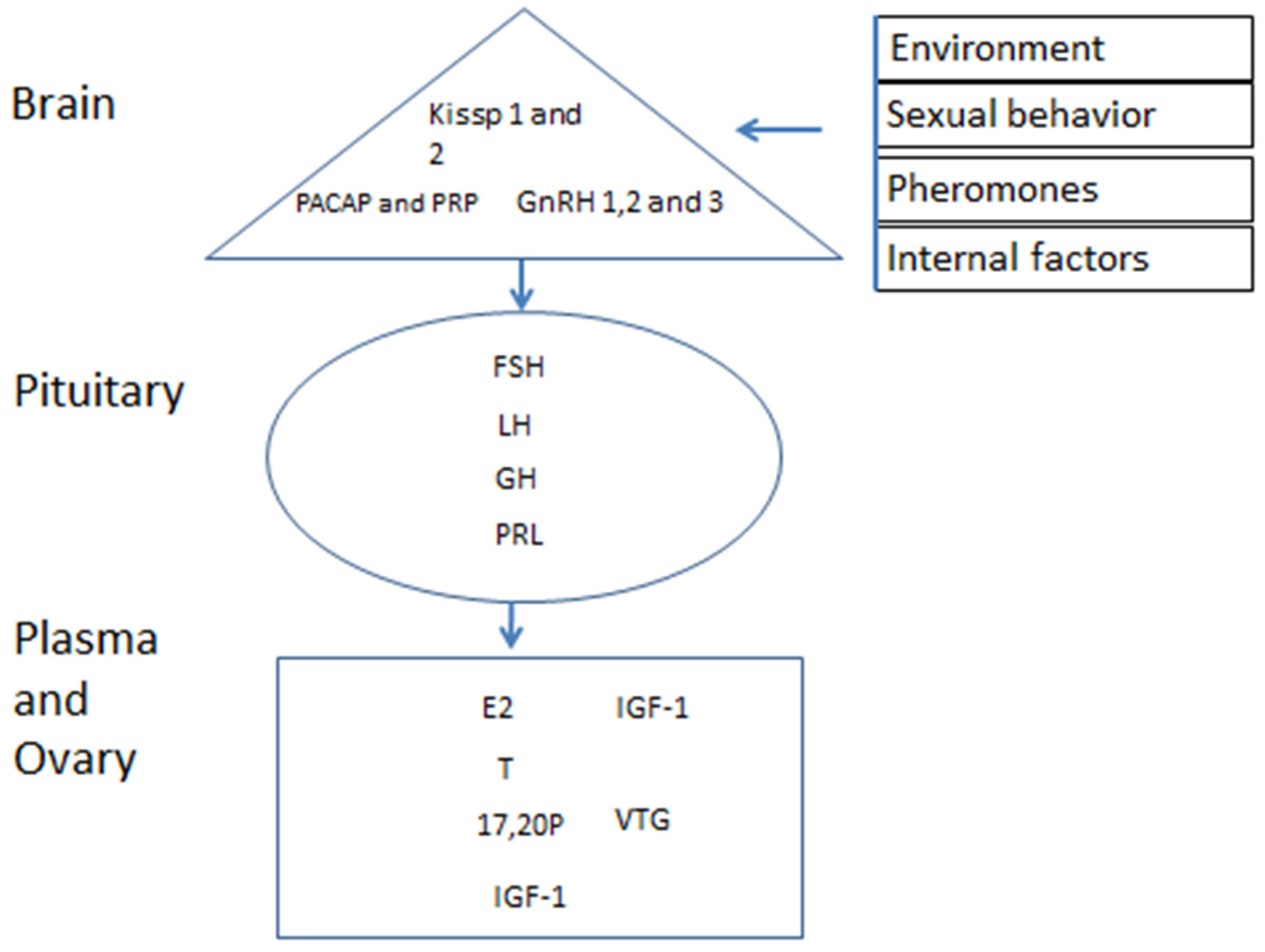 Biology 09 00109 g002