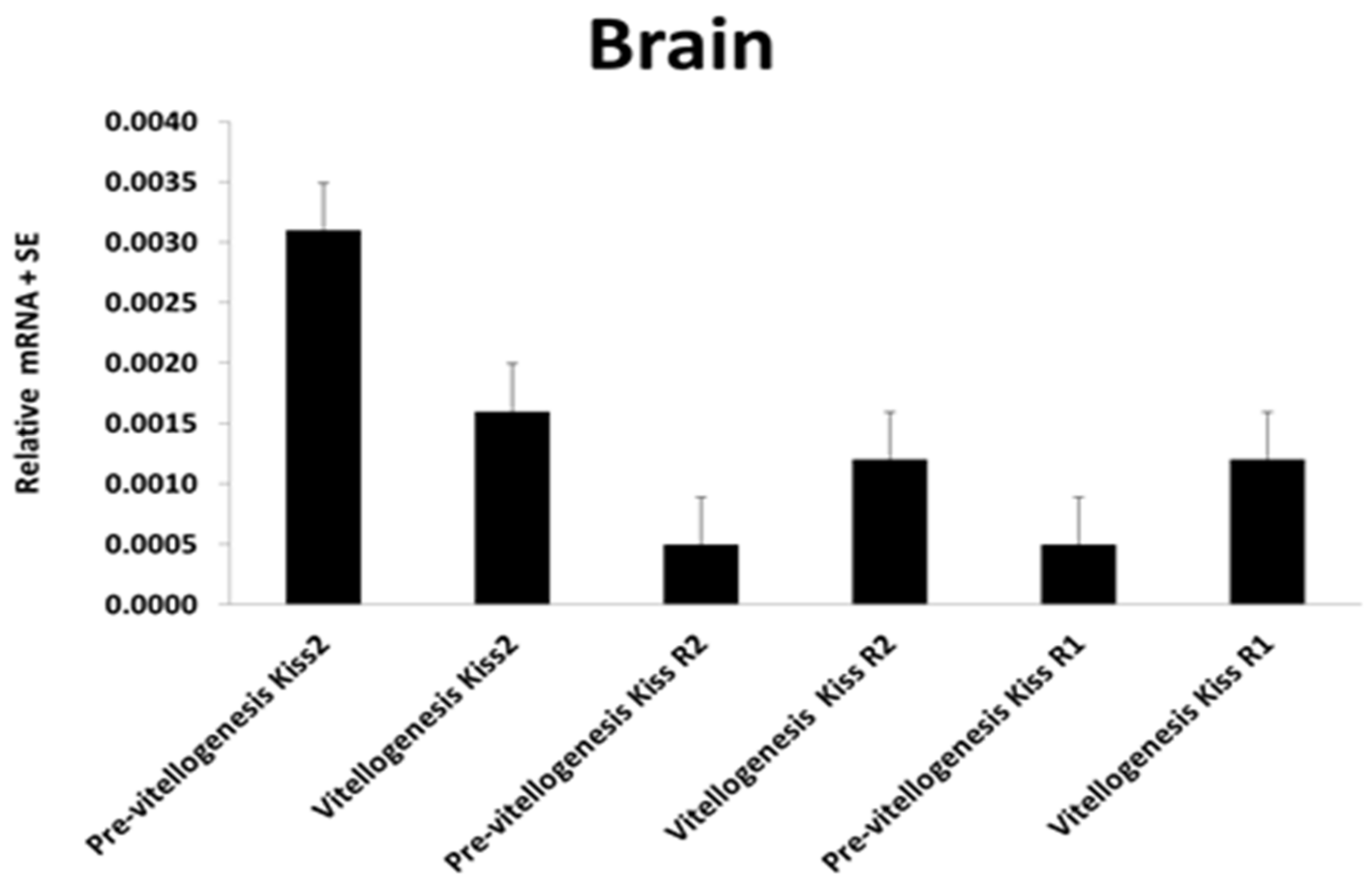Biology 09 00109 g005