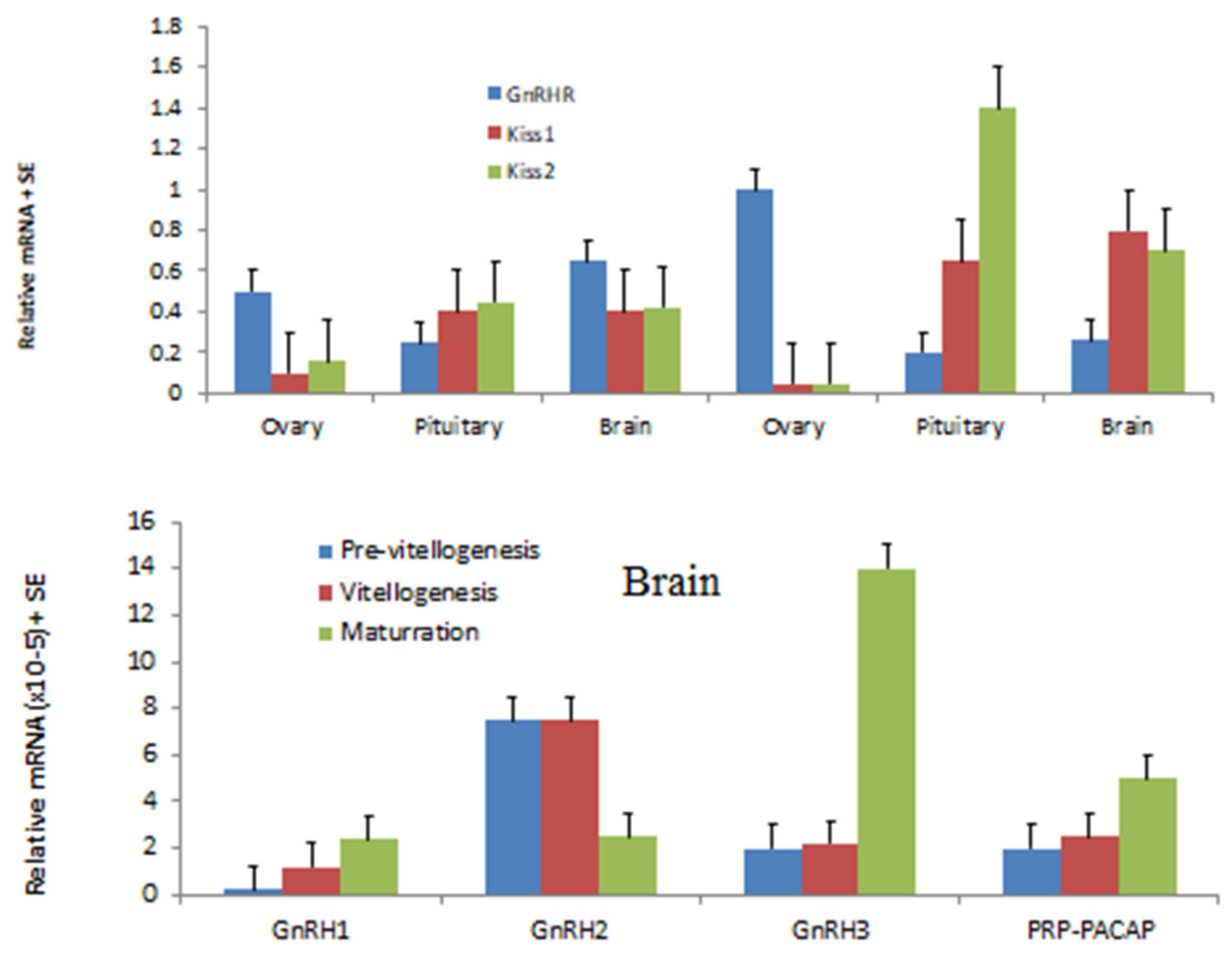Biology 09 00109 g006