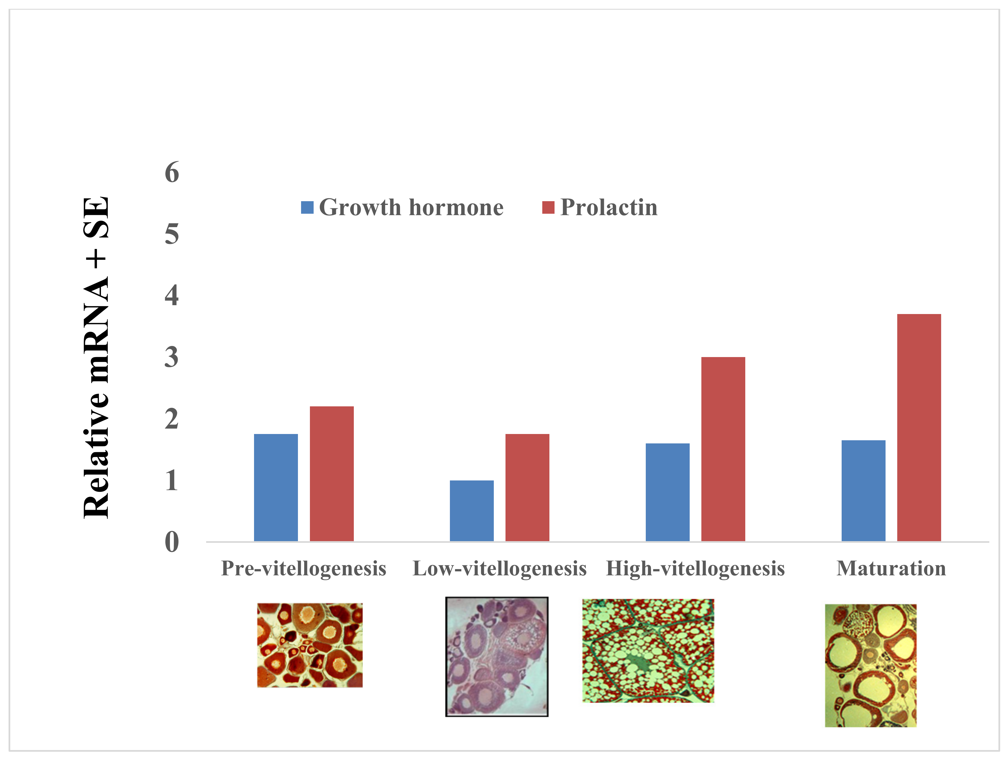 Biology 09 00109 g009