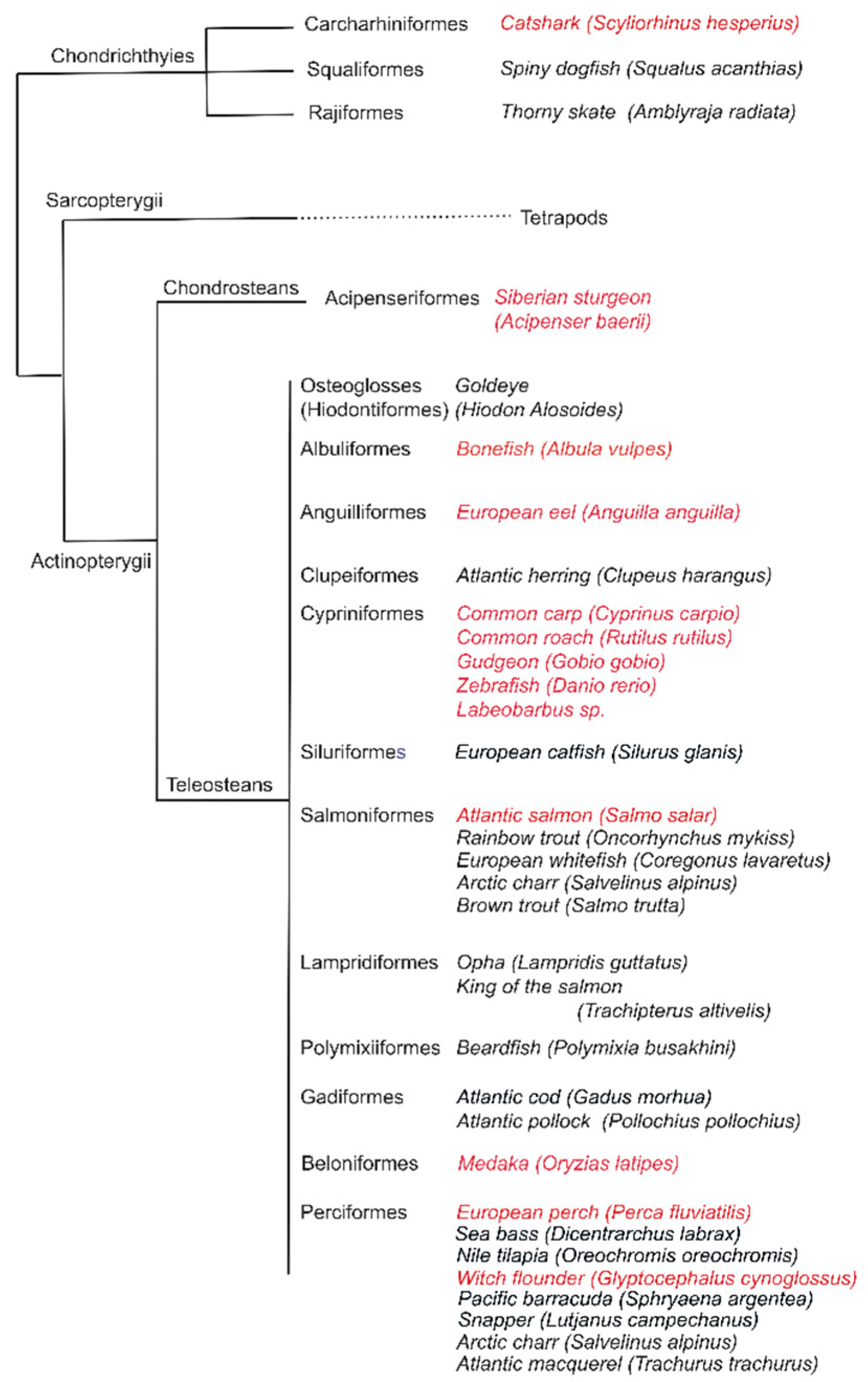 Biology 09 00127 g002