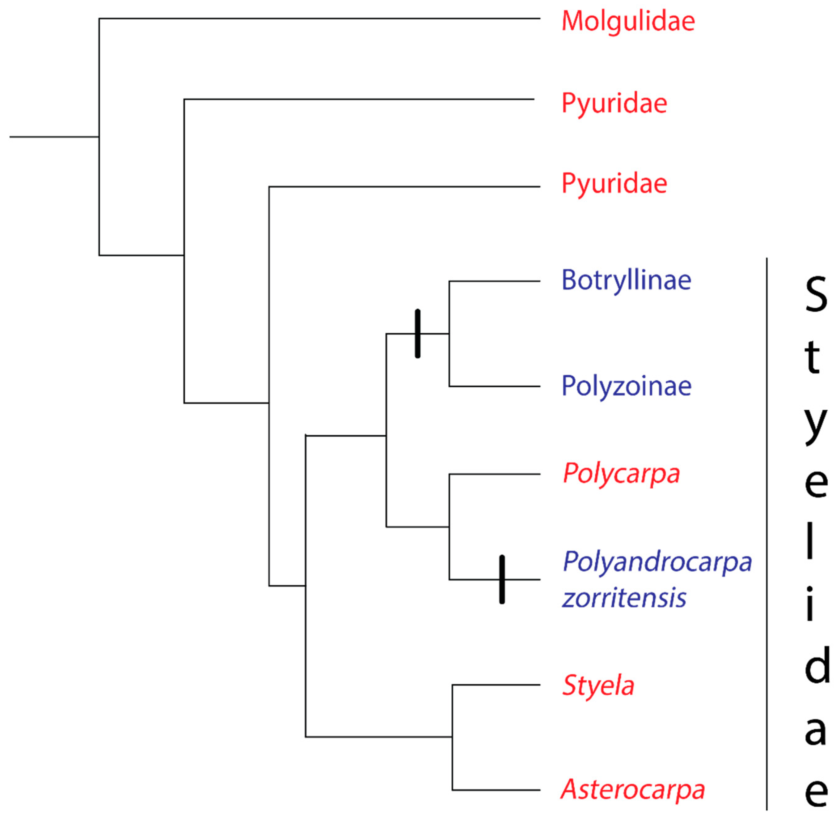 Biology 09 00129 g002