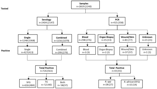 Specific rickettsial serology