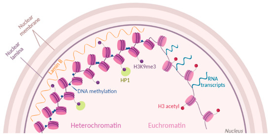 Biology Free Full Text Mass Spectrometry To Study Chromatin Compaction Html