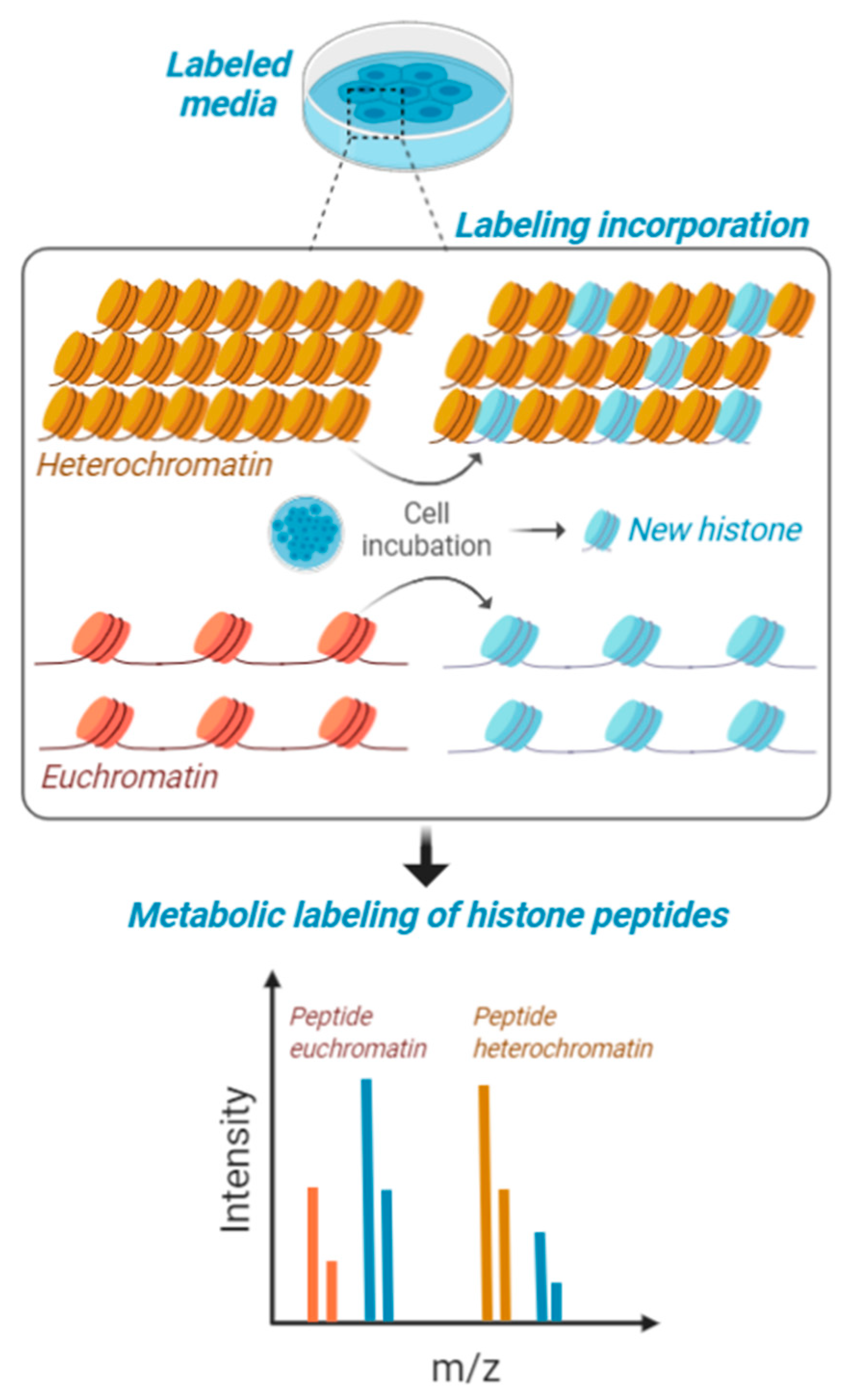 Biology 09 00140 g002 Biology 09 00140 g002