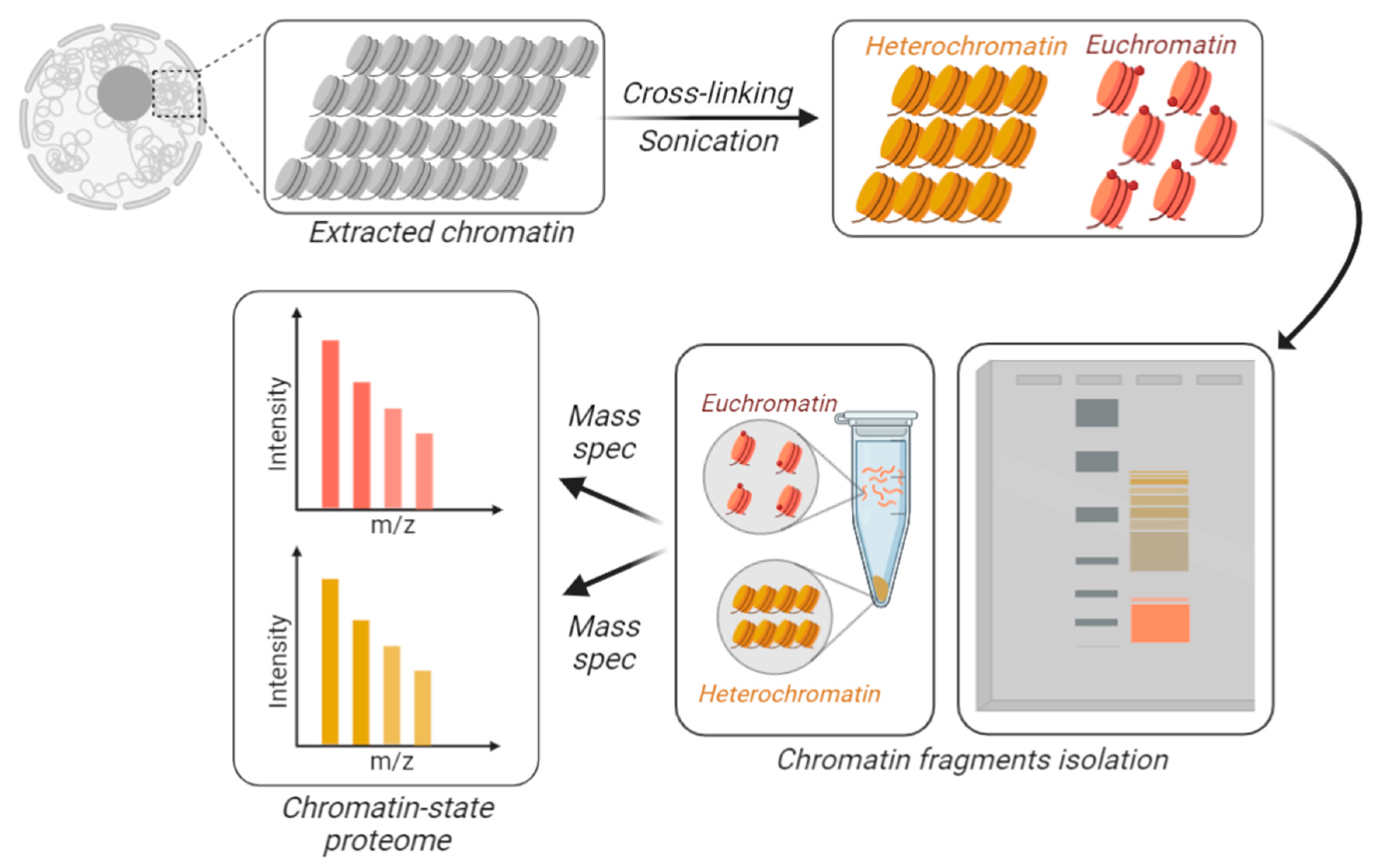 Biology 09 00140 g003 Biology 09 00140 g003