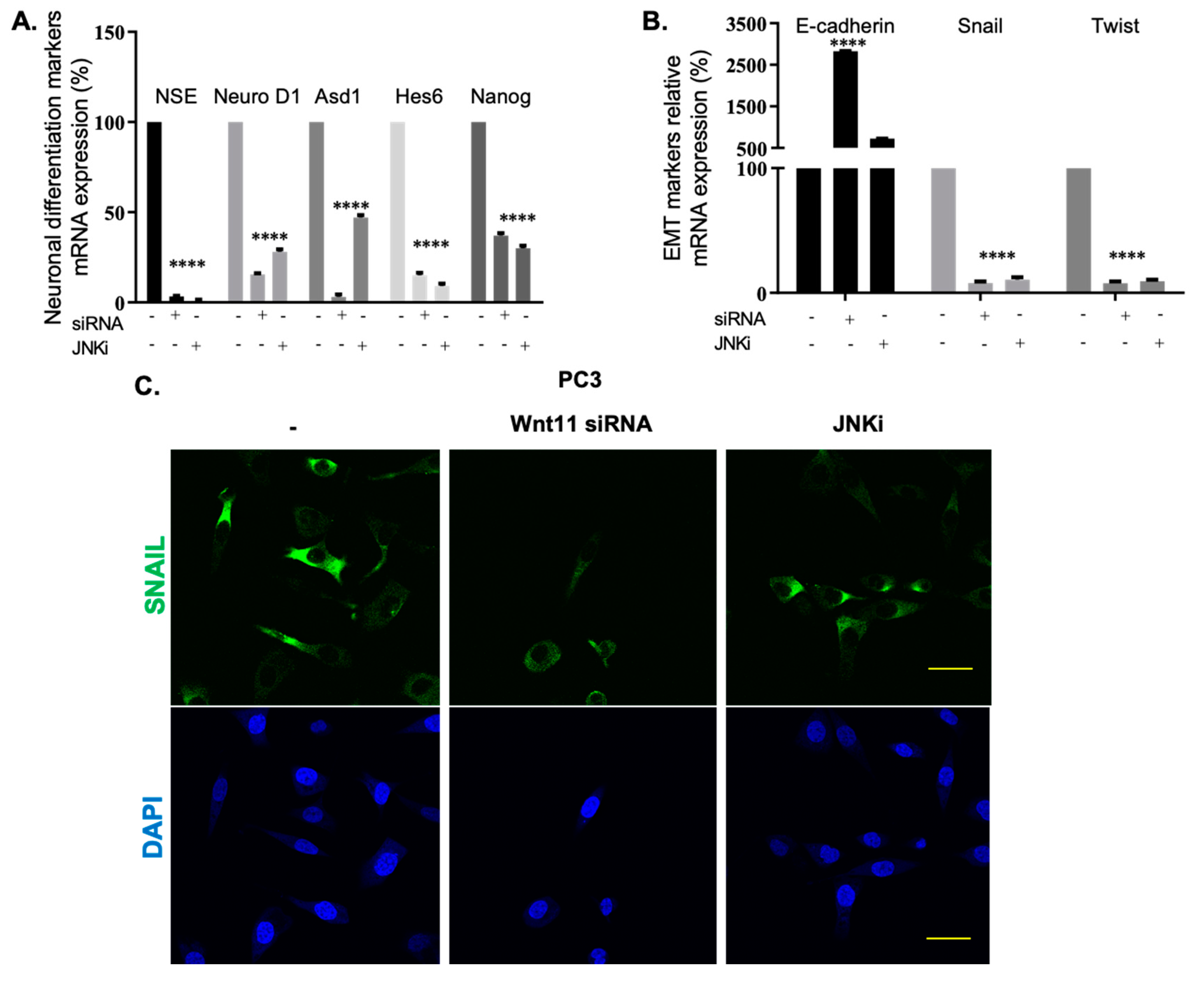 Biology 09 00142 g005 Biology 09 00142 g005