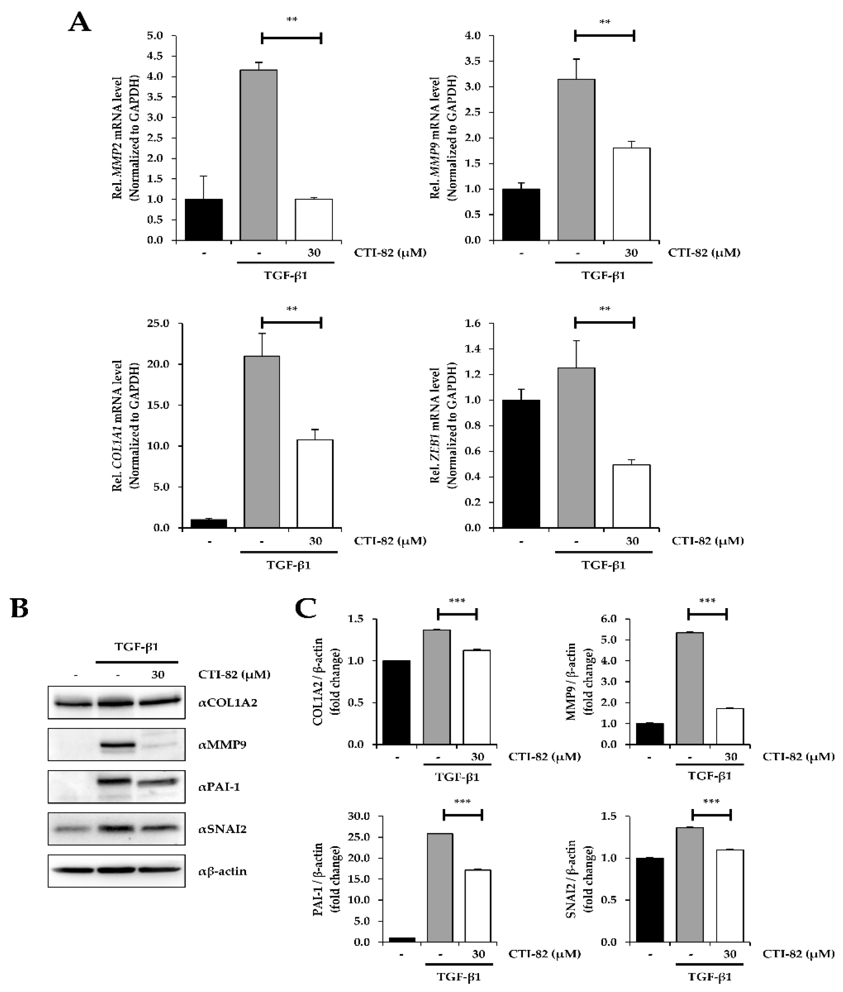 Biology 09 00143 g005 Biology 09 00143 g005