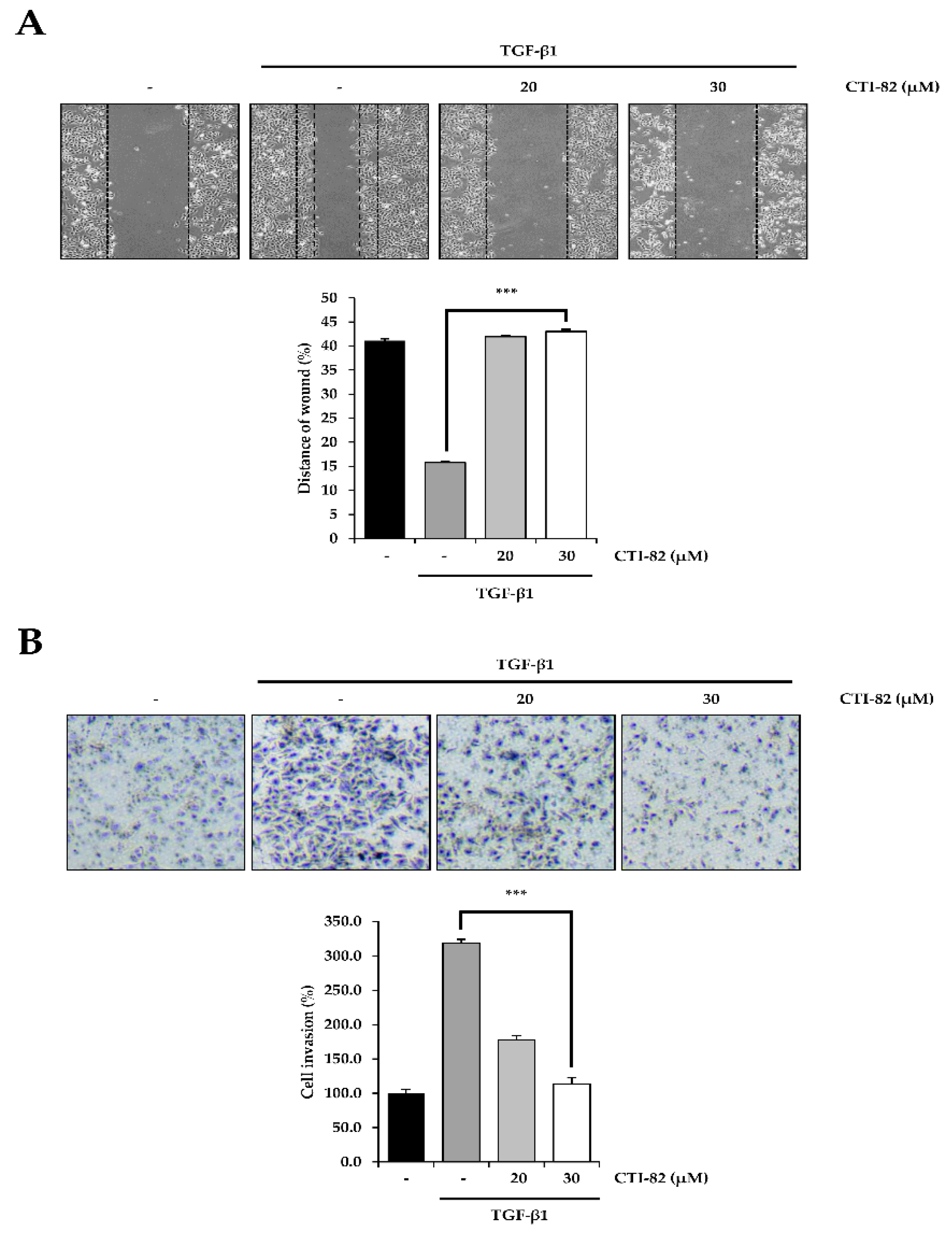 Biology 09 00143 g006 Biology 09 00143 g006