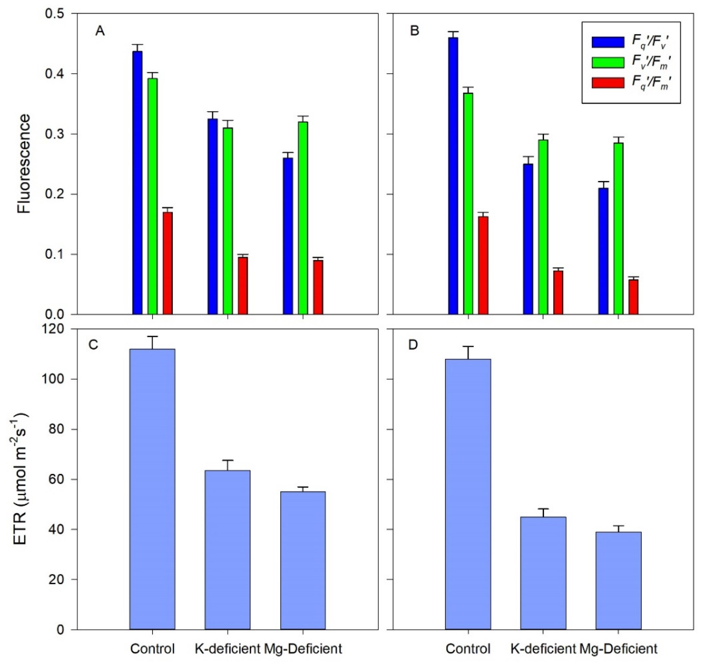 Biology 09 00144 g005 Biology 09 00144 g005