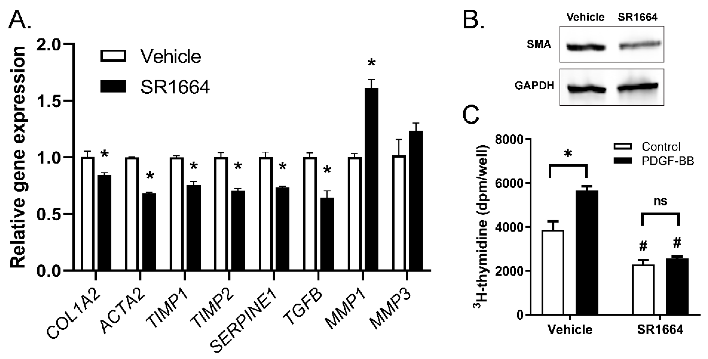 Biology 09 00151 g004