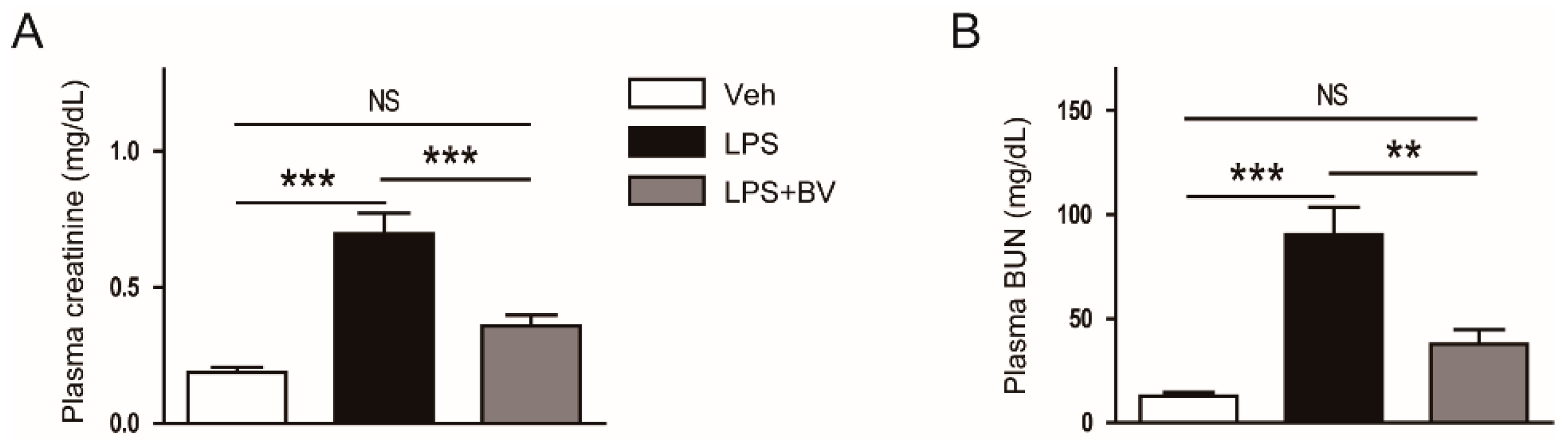 Biology 09 00154 g001 Biology 09 00154 g001