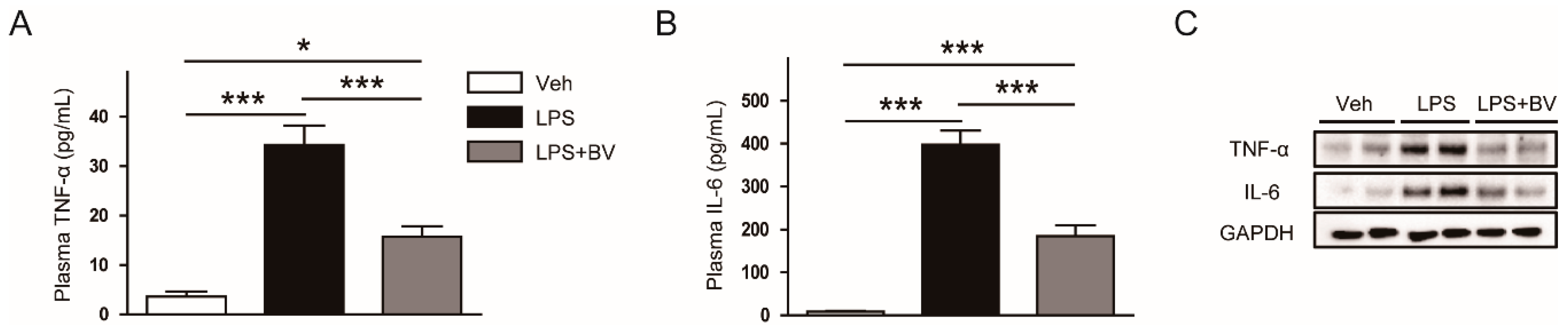 Biology 09 00154 g004 Biology 09 00154 g004