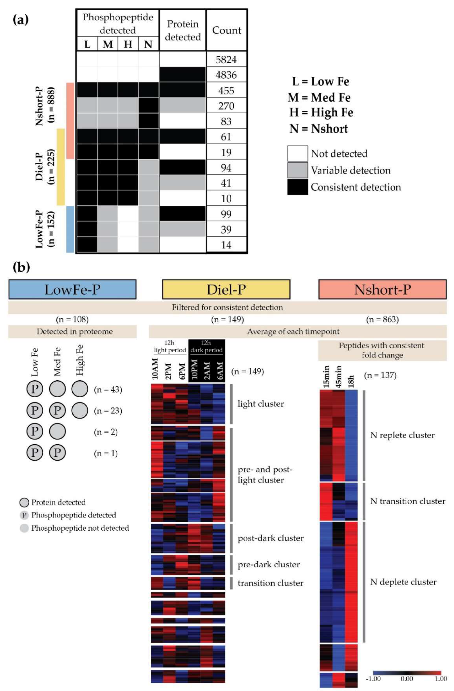 Biology 09 00155 g002 Biology 09 00155 g002