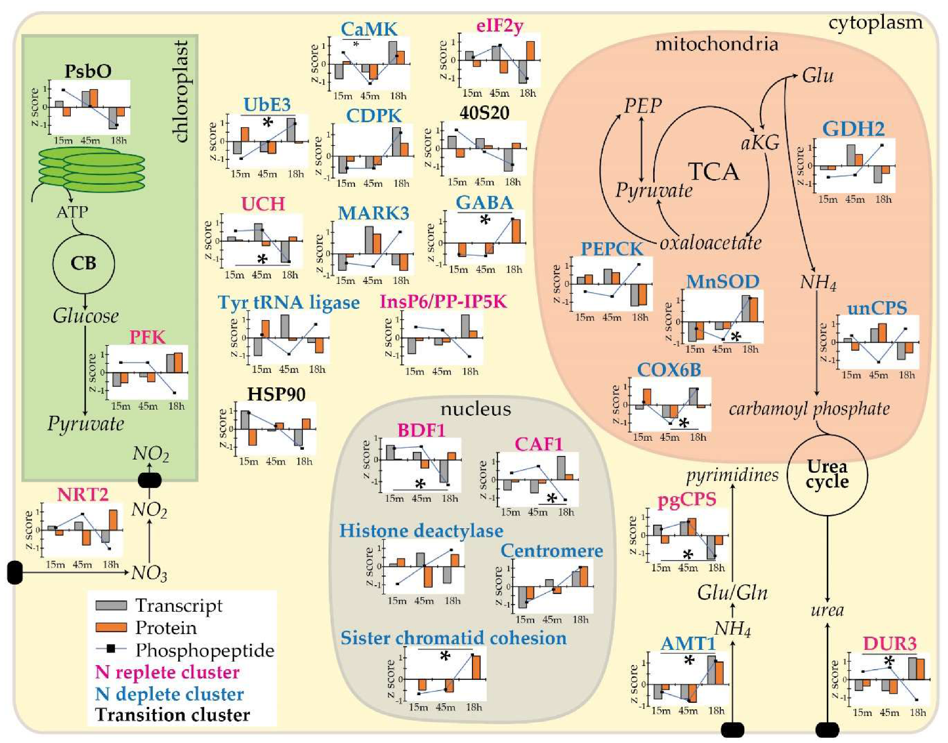 Biology 09 00155 g004 Biology 09 00155 g004
