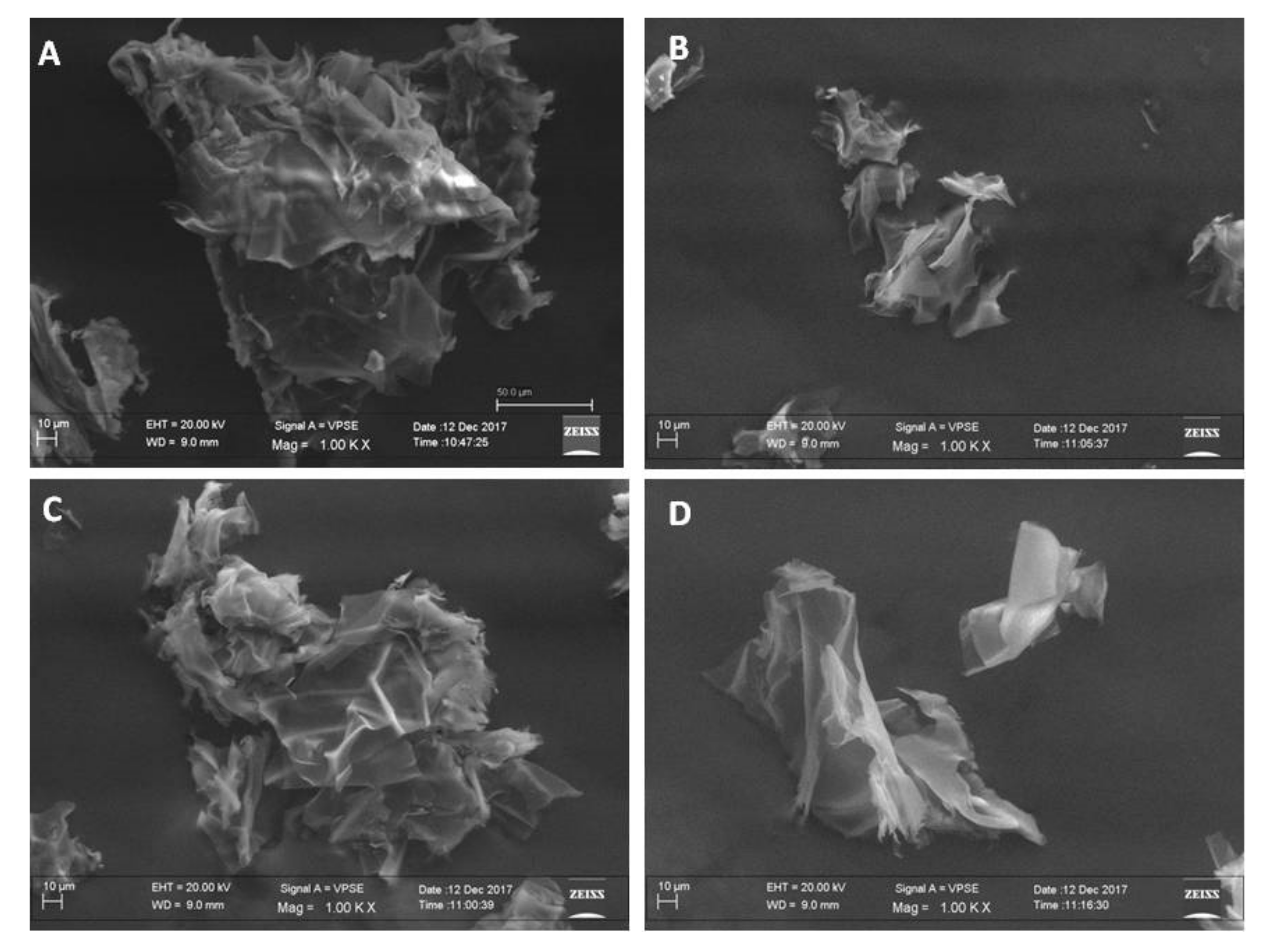 Biology 09 00159 g001