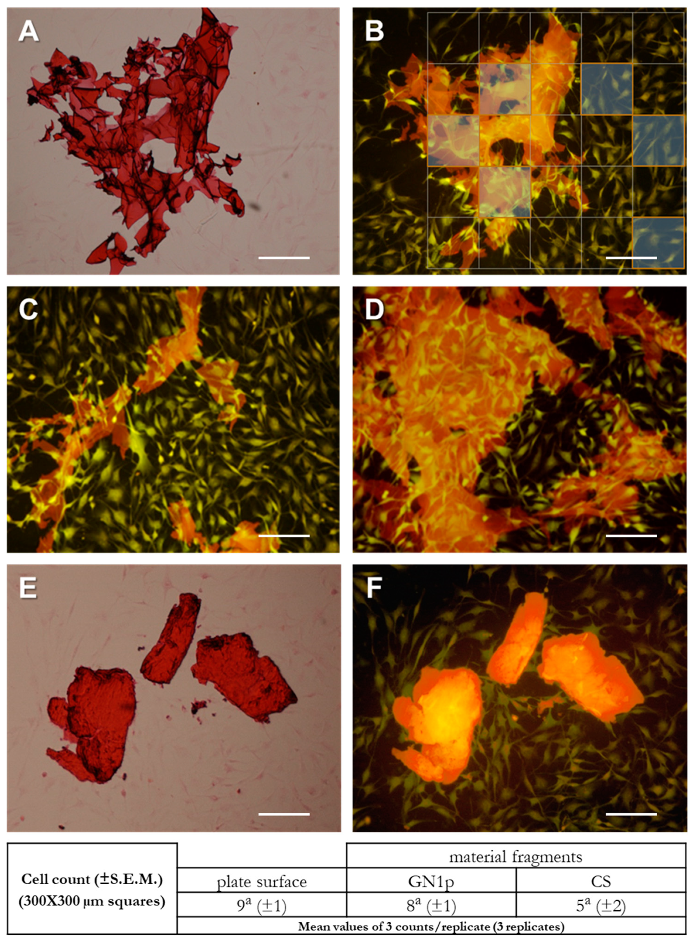 Biology 09 00159 g004