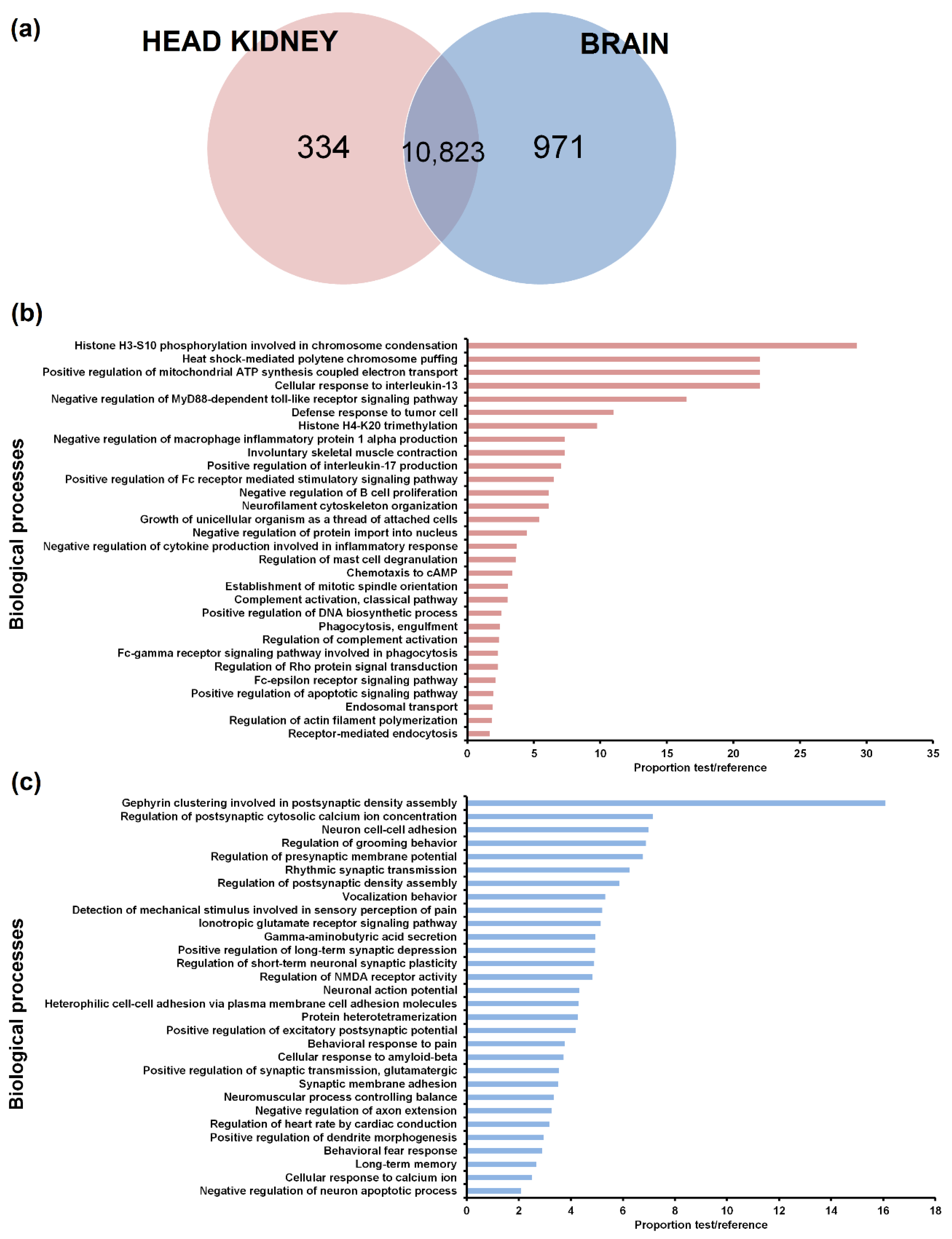 Biology 09 00165 g002 Biology 09 00165 g002