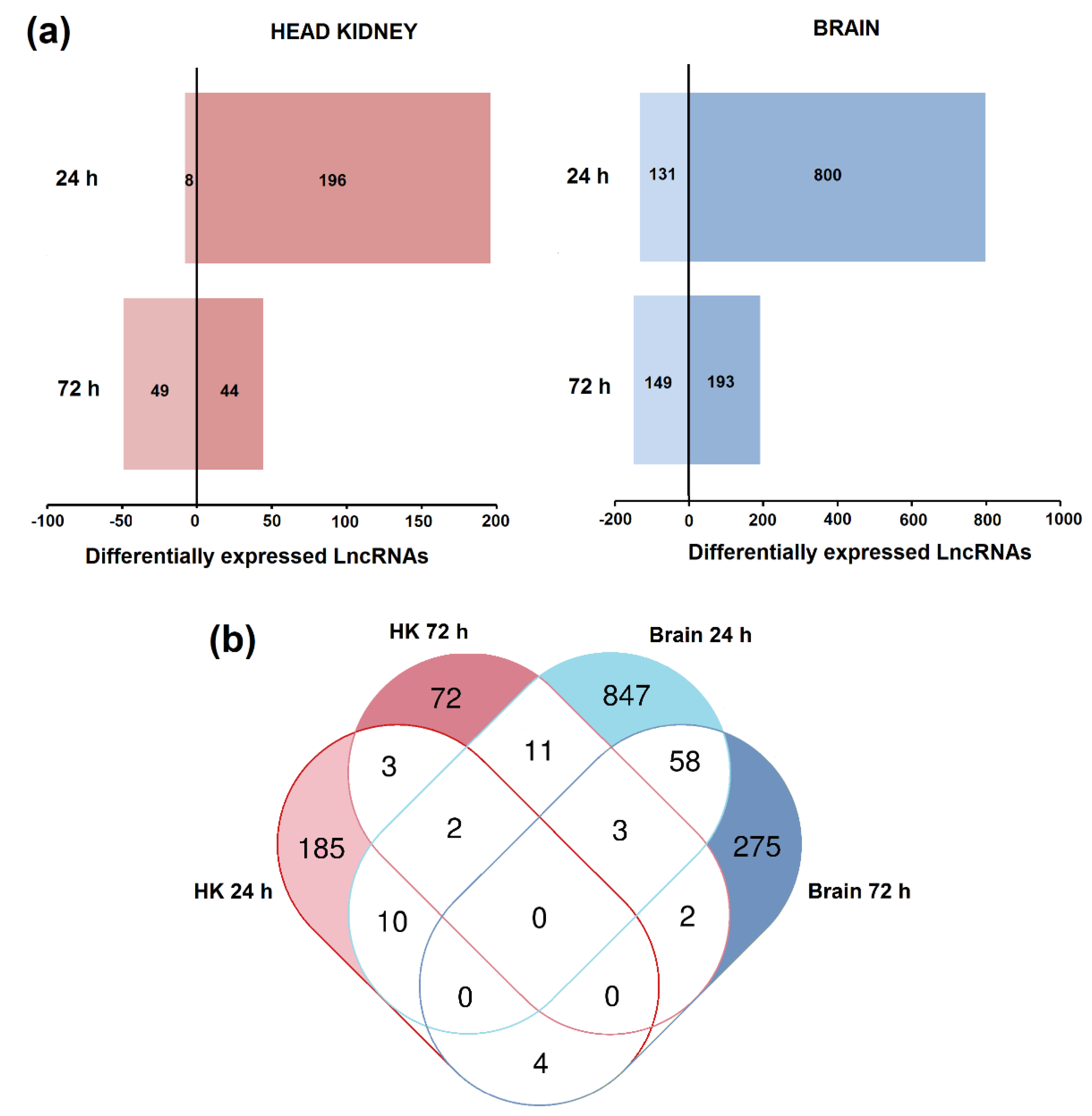 Biology 09 00165 g003 Biology 09 00165 g003