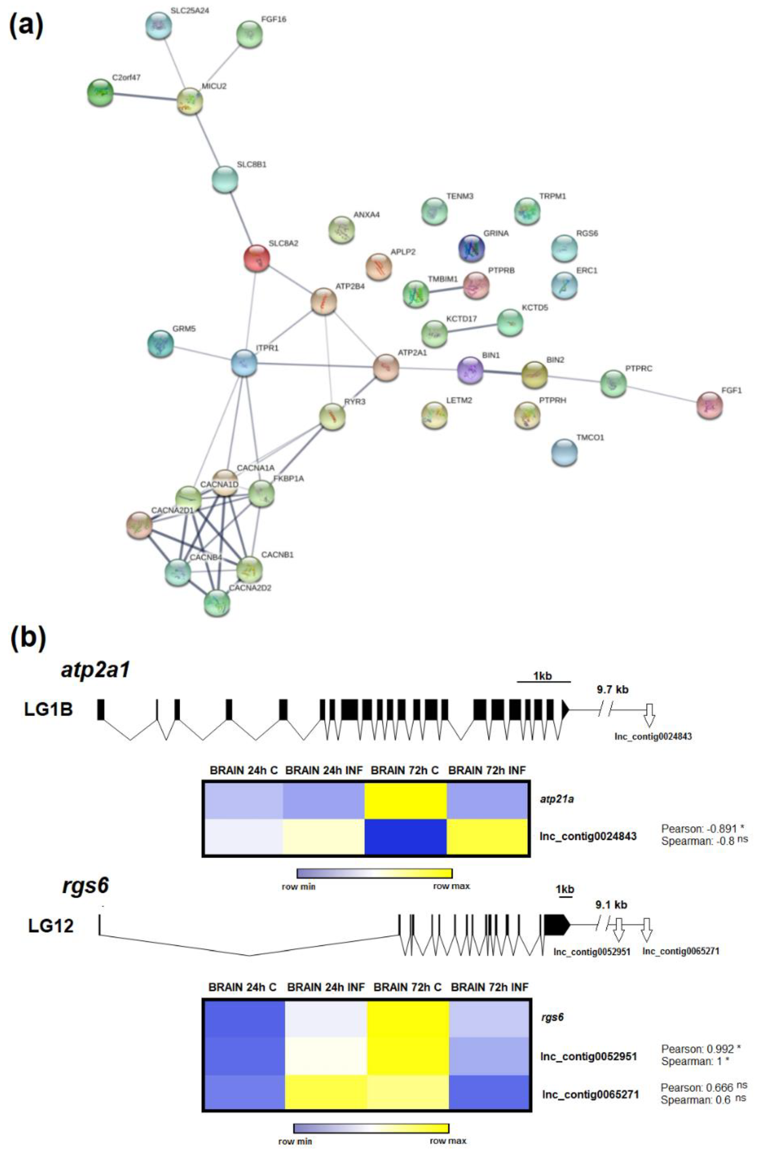 Biology 09 00165 g008 Biology 09 00165 g008