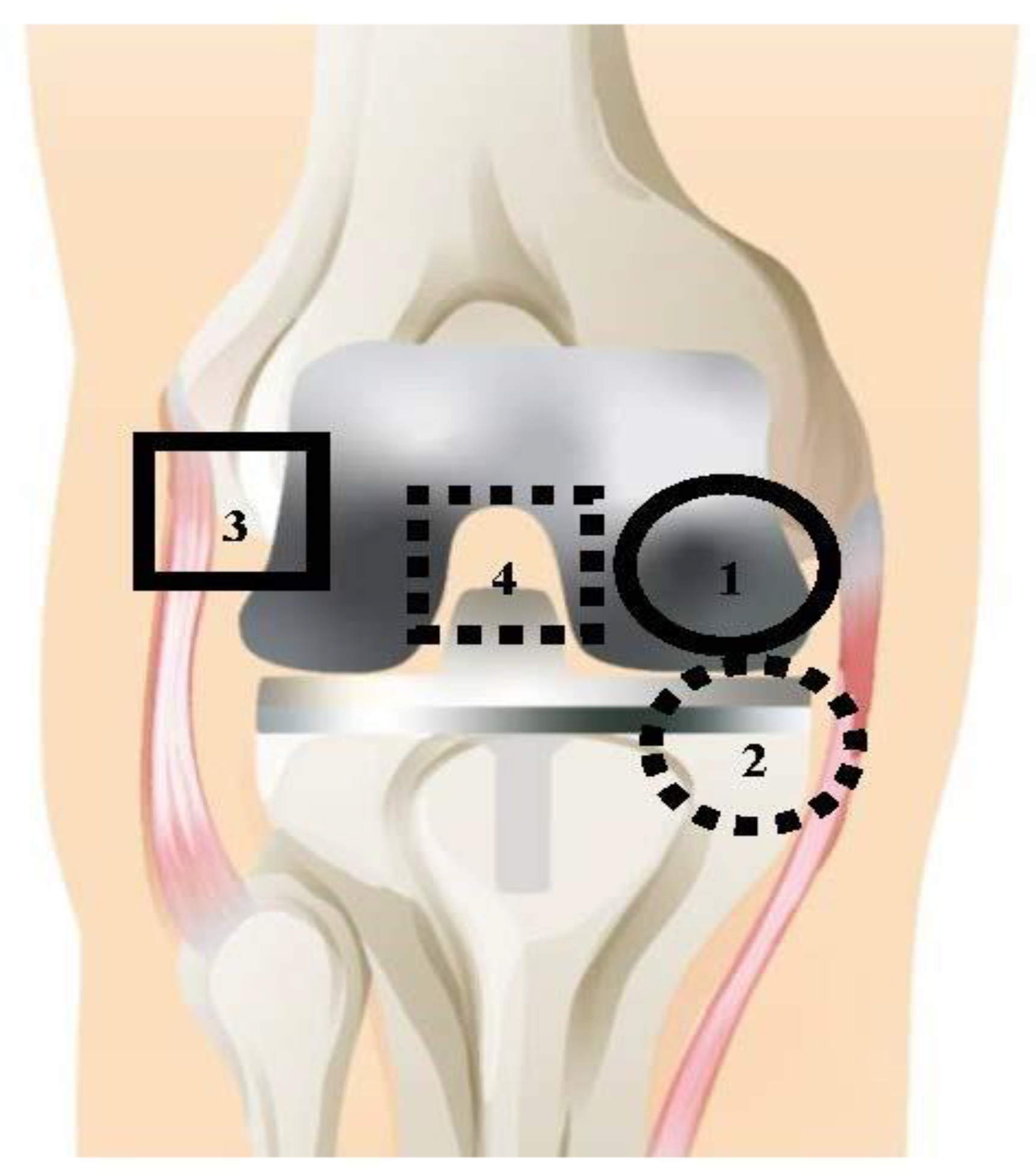 Biology 09 00167 g001