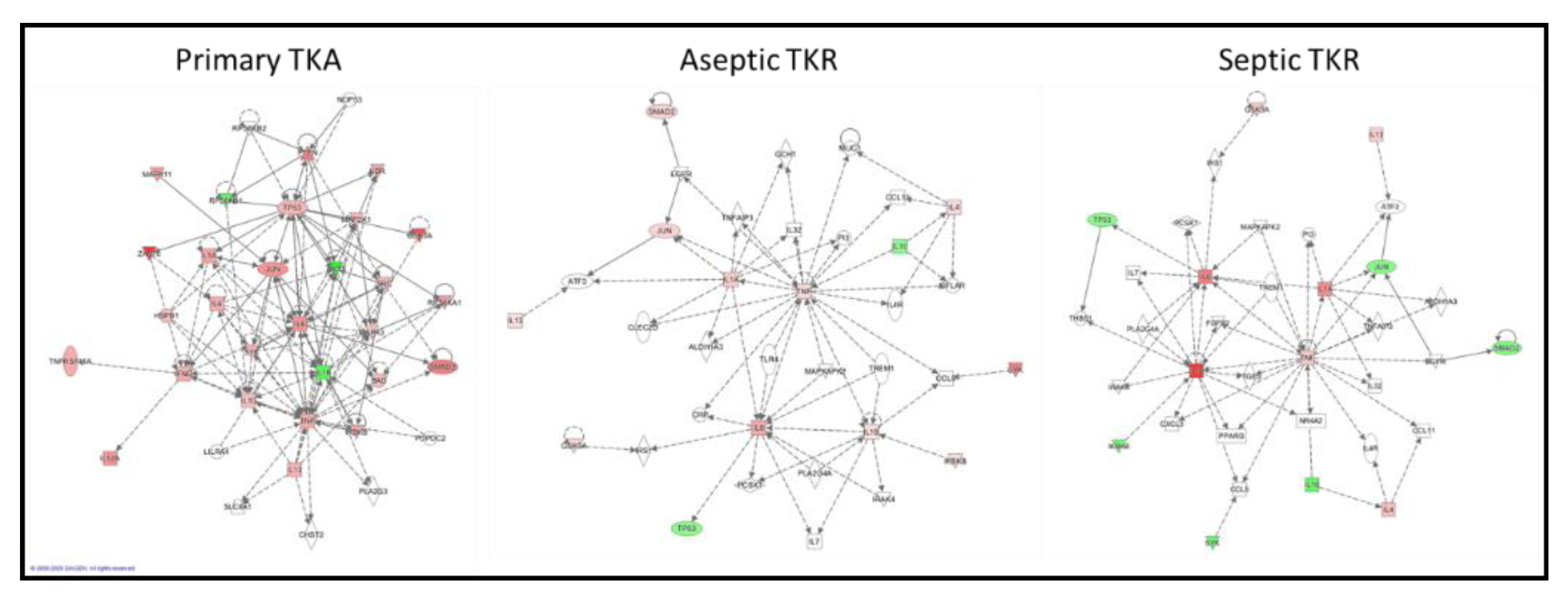 Biology 09 00167 g006
