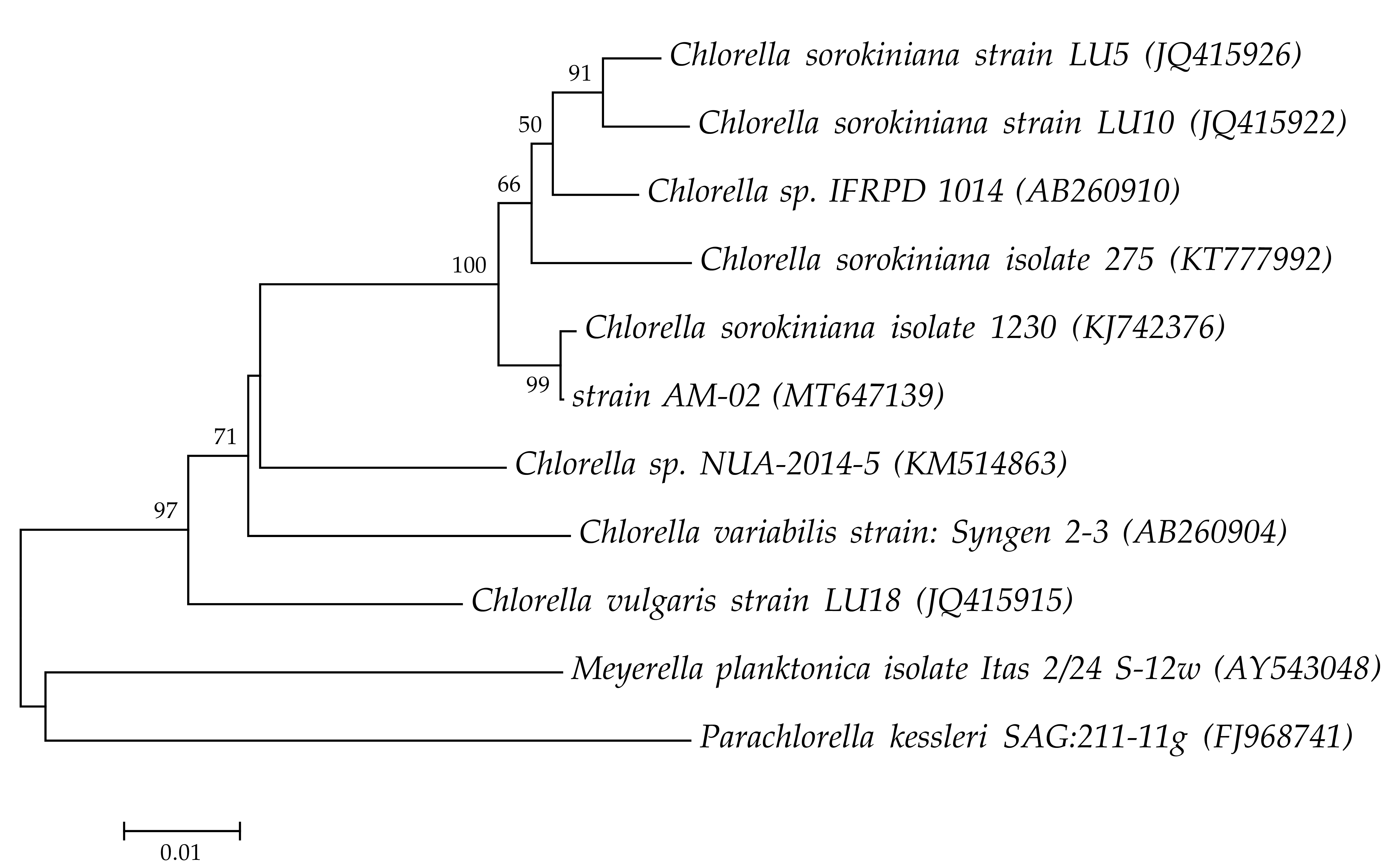 Biology 09 00169 g001 Biology 09 00169 g001