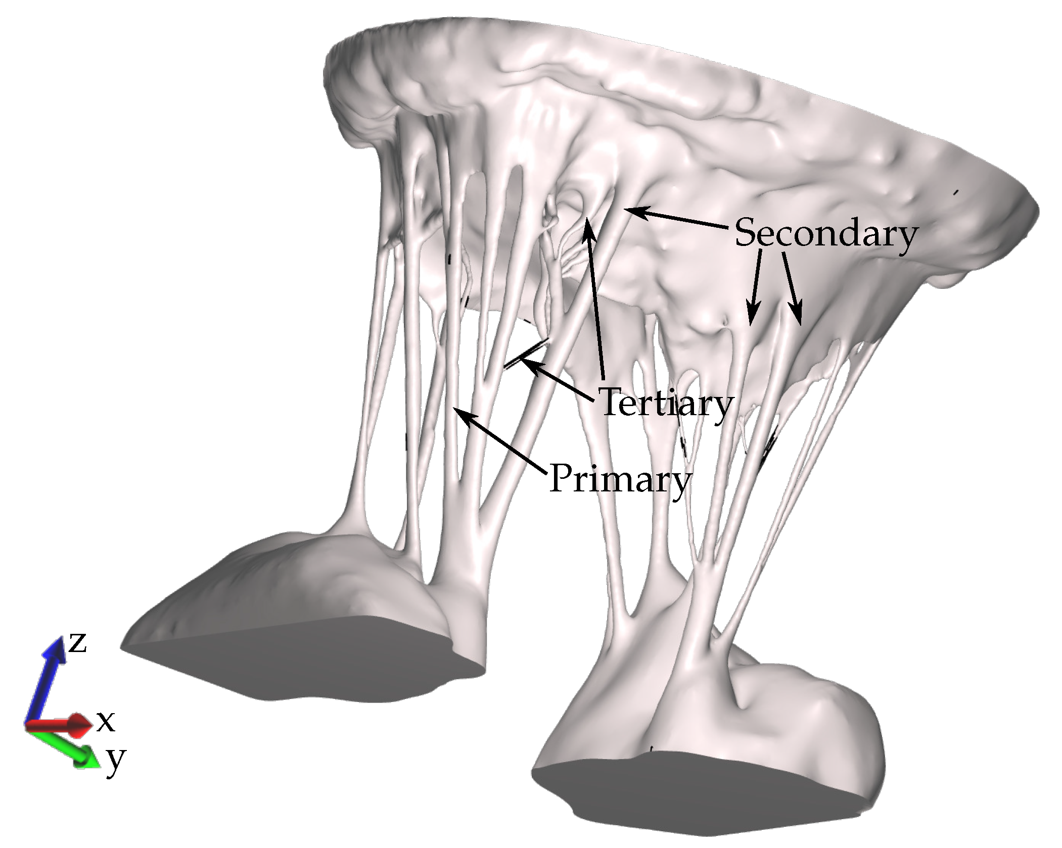 Biology 09 00173 g002