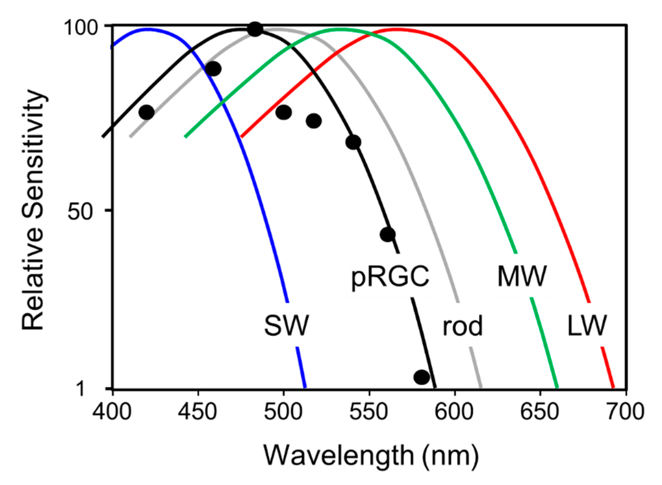 Biology 09 00180 g008