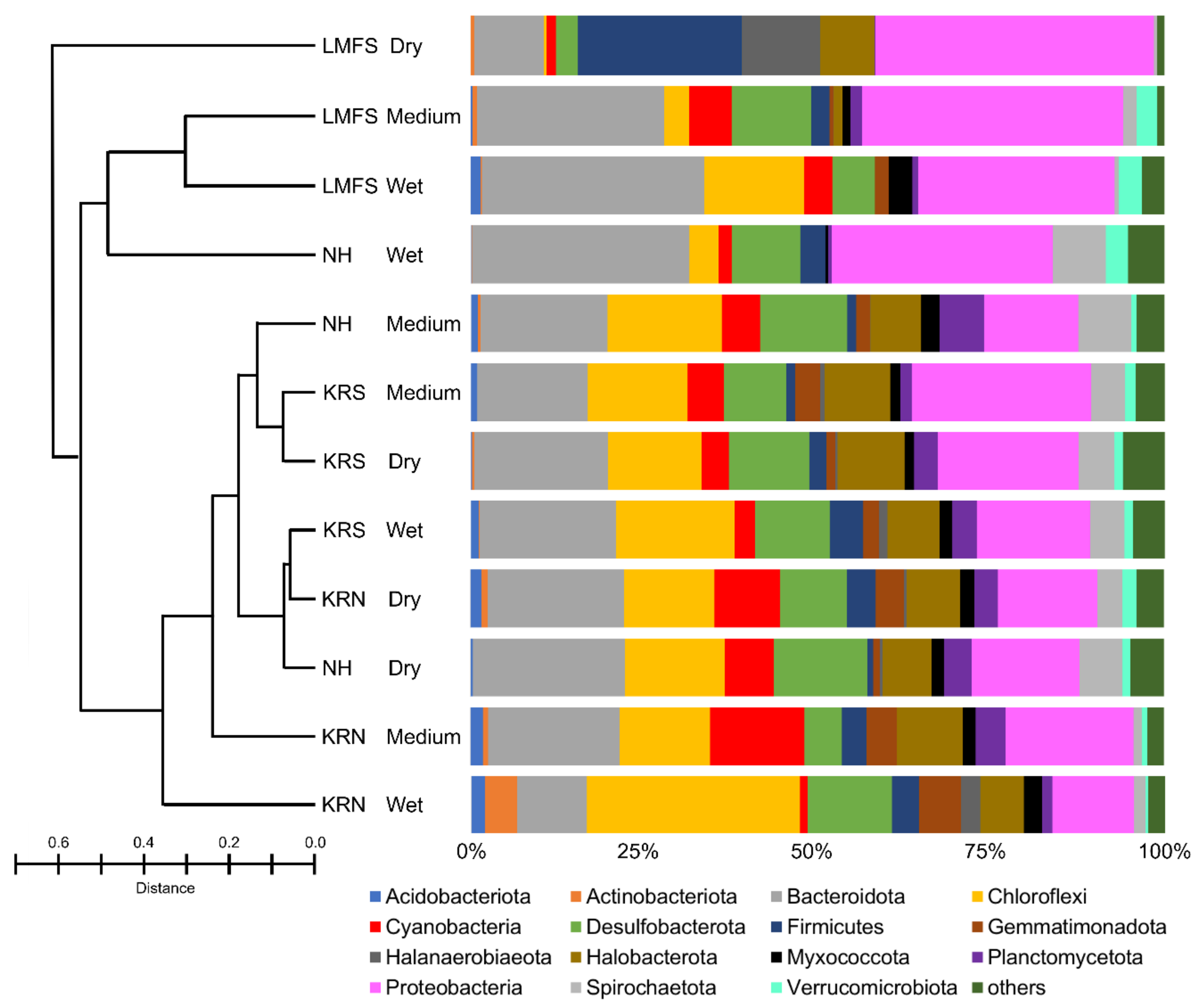 Biology 09 00183 g004