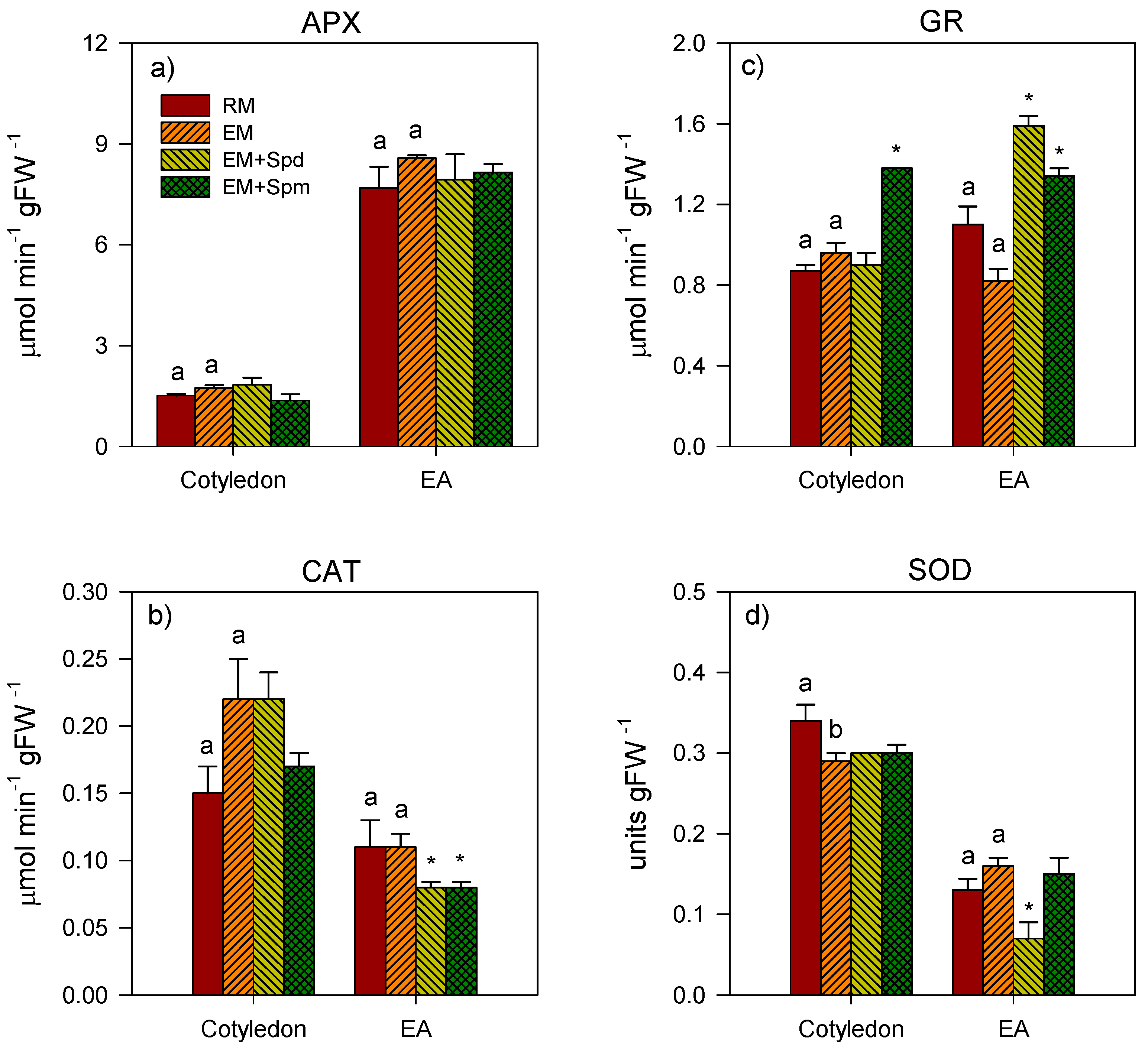 Biology 09 00185 g006