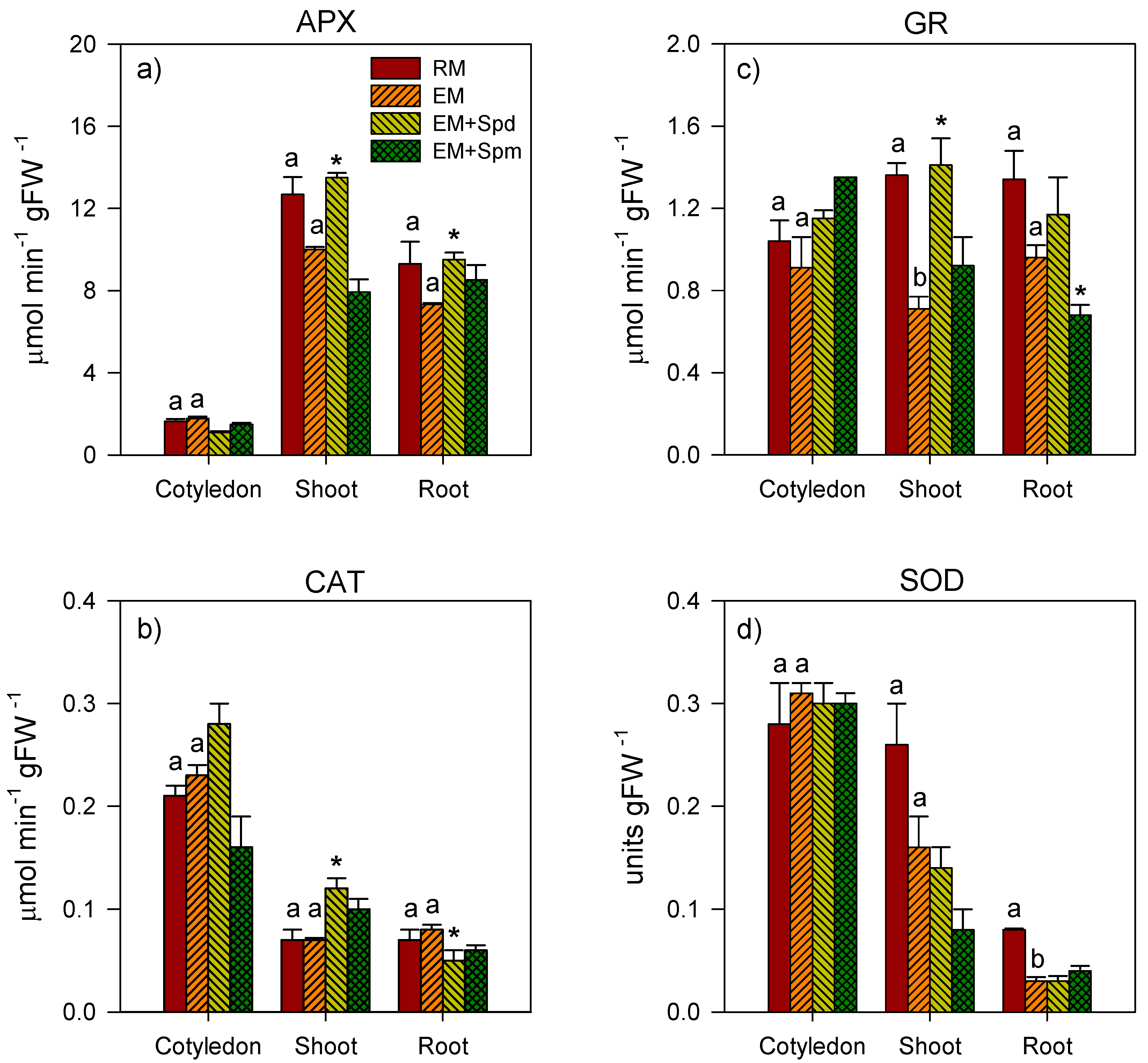 Biology 09 00185 g007