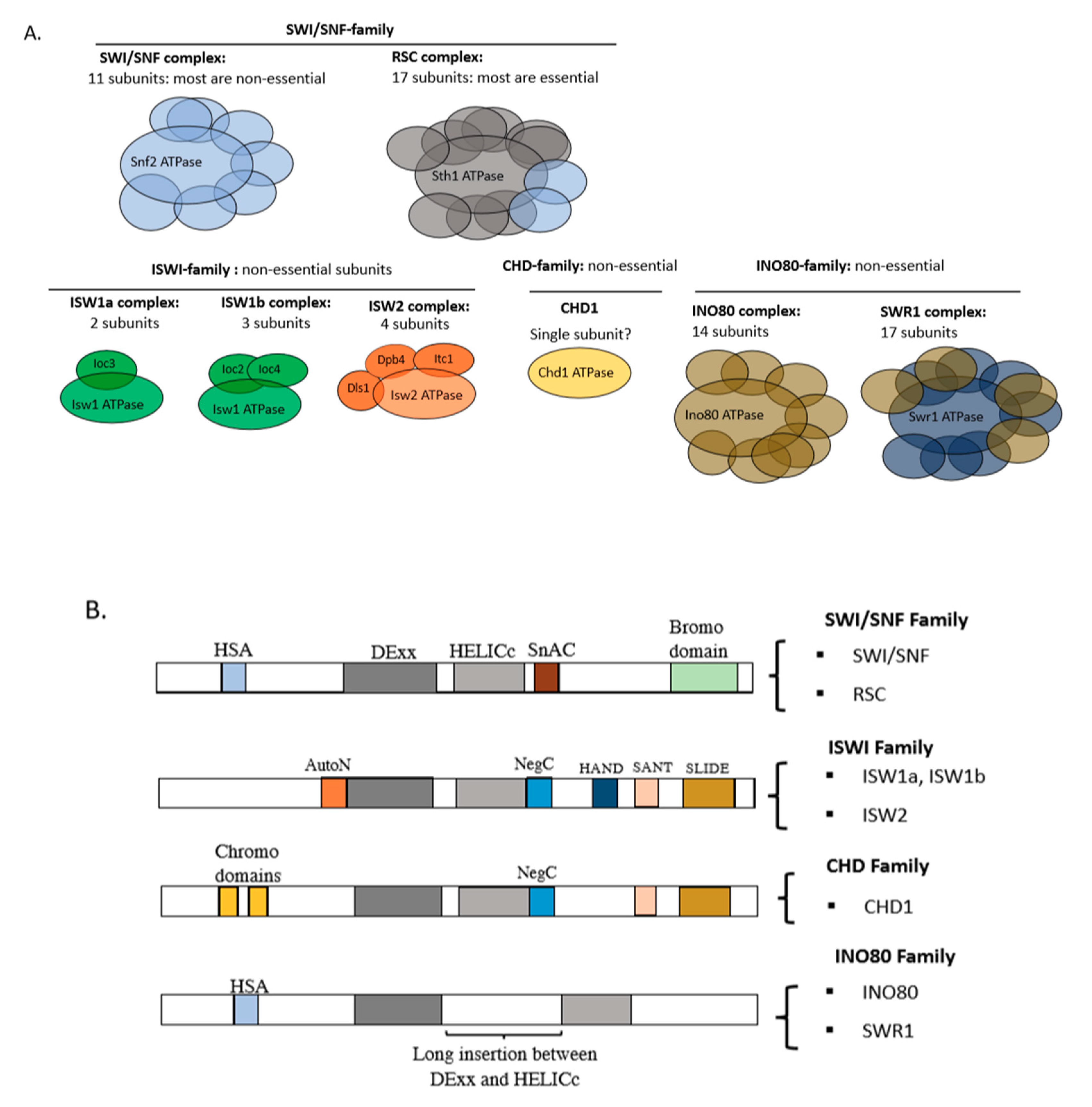 Biology 09 00190 g002