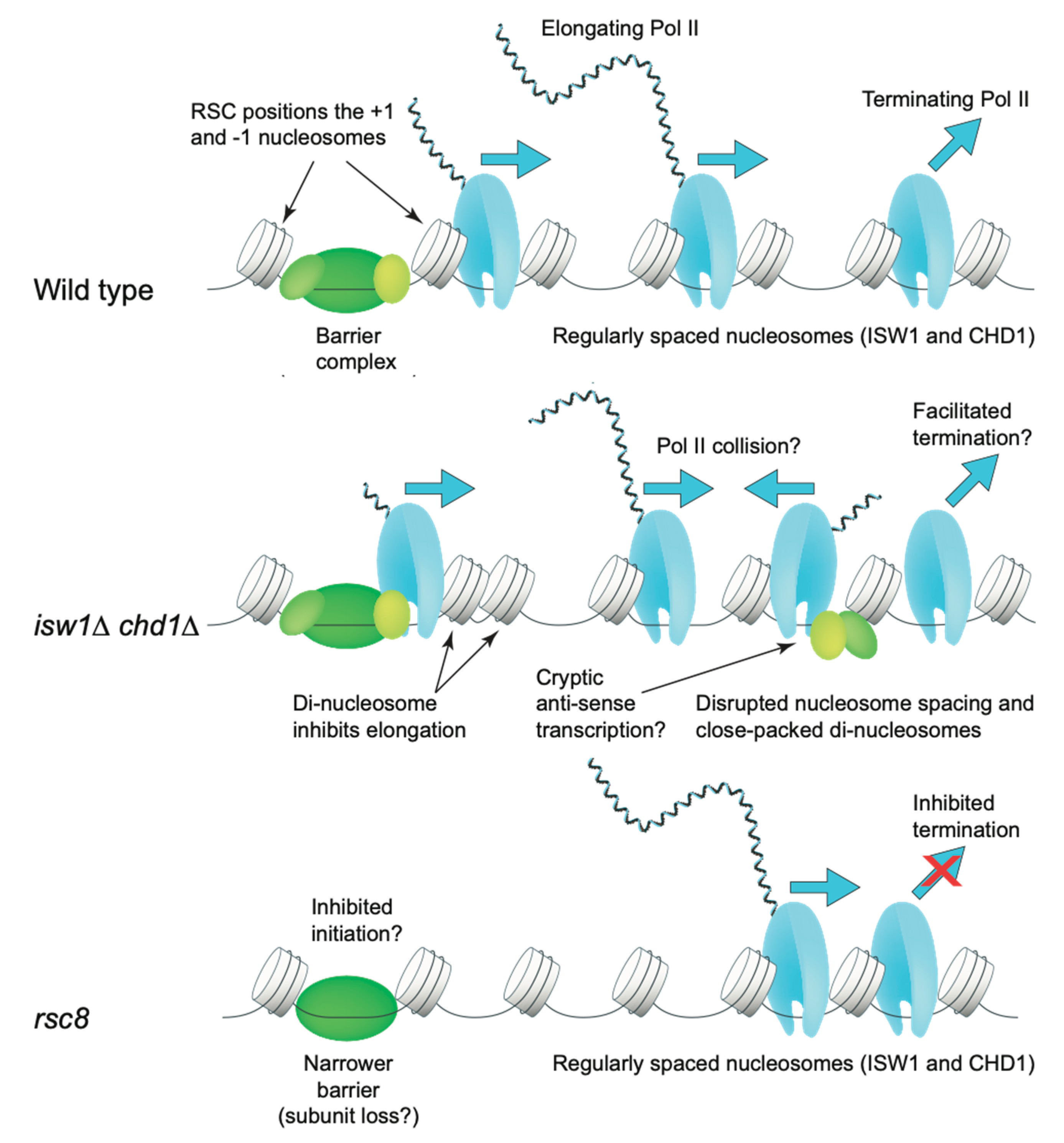 Biology 09 00190 g006